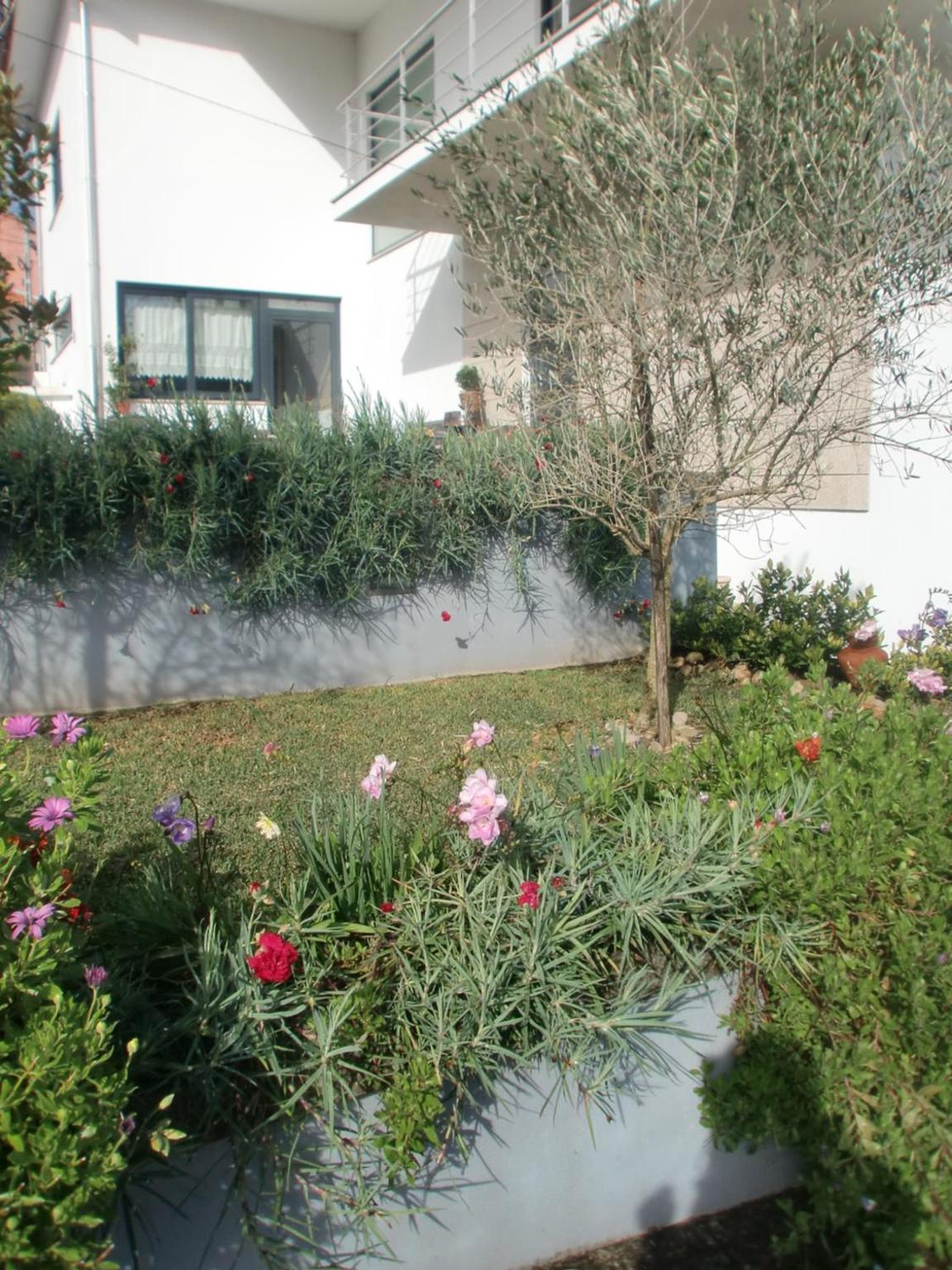 Casa de Coelhosa, photo 93