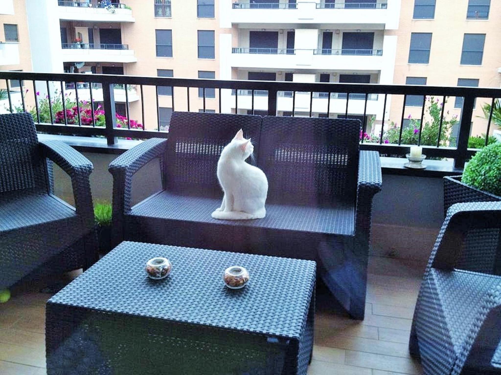 Domus al Parco Guest House