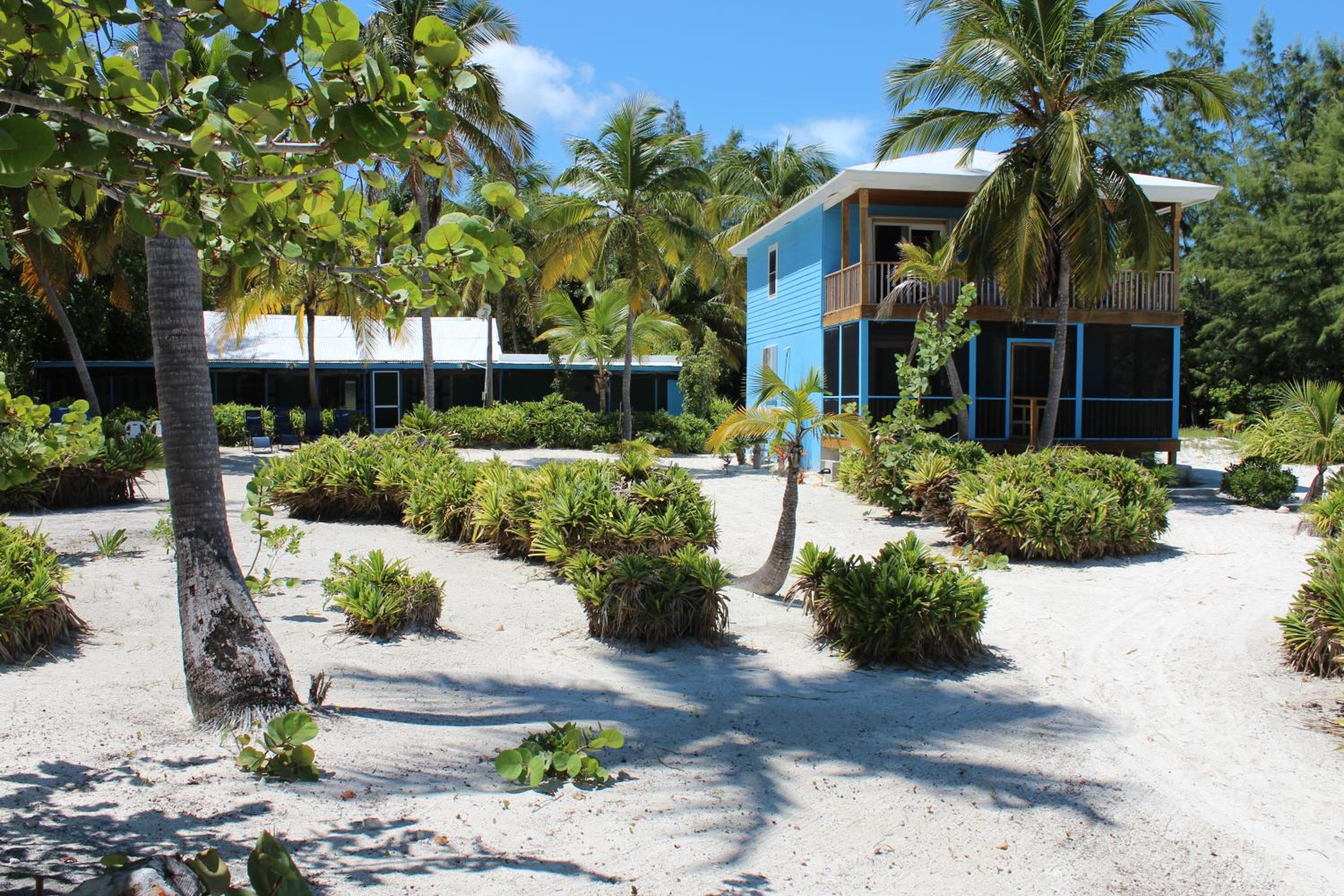 Andros Beach Club