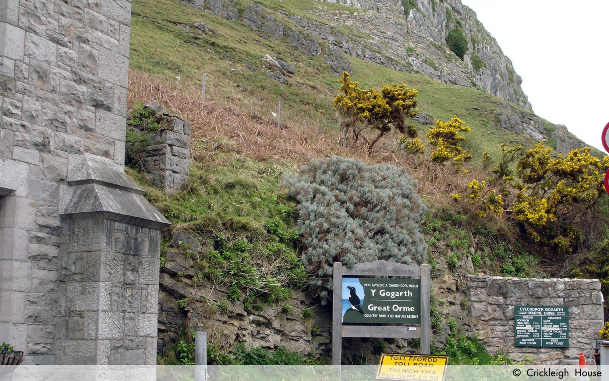Crickleigh House, photo 57