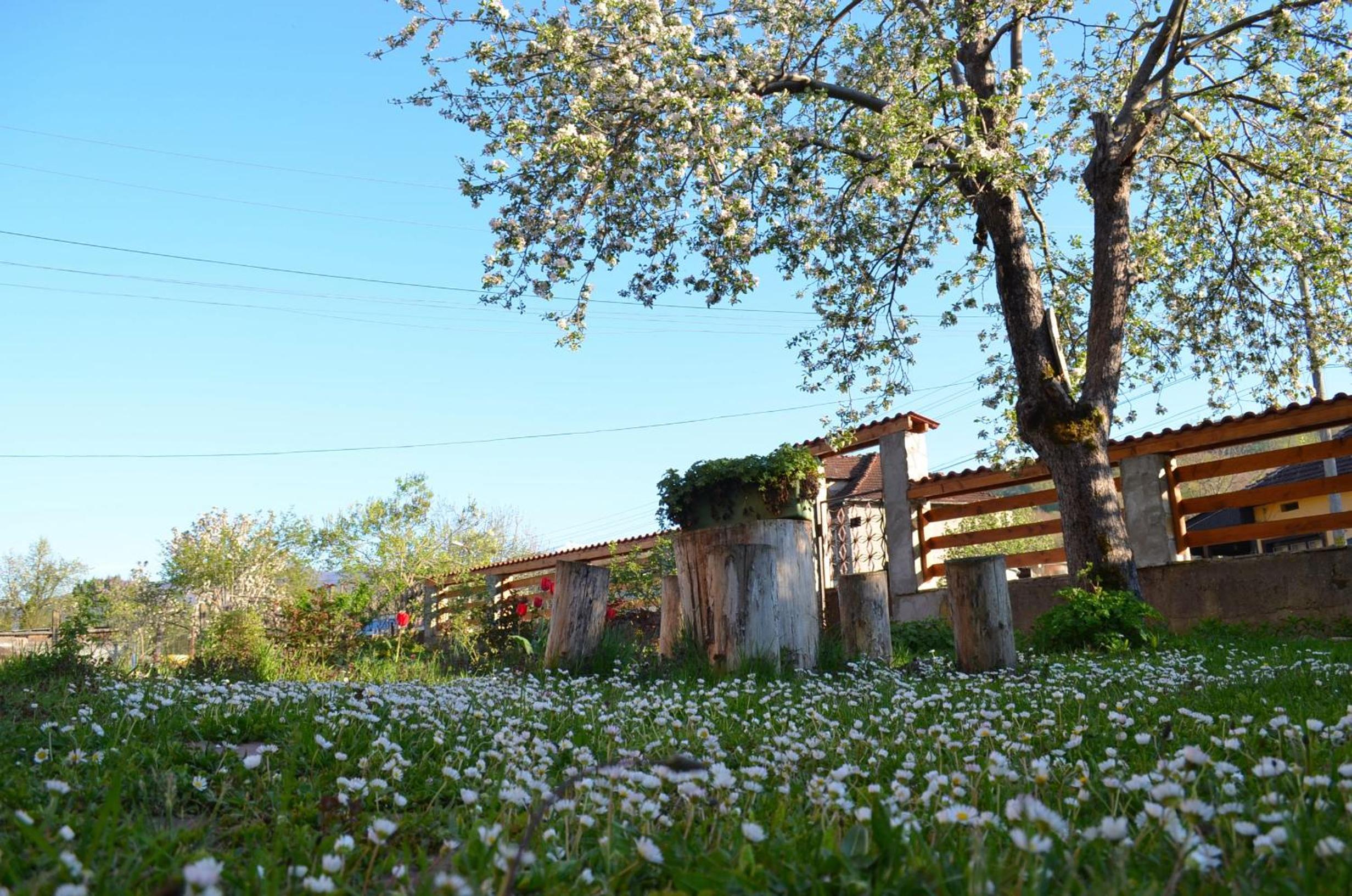 Villa Ribarica
