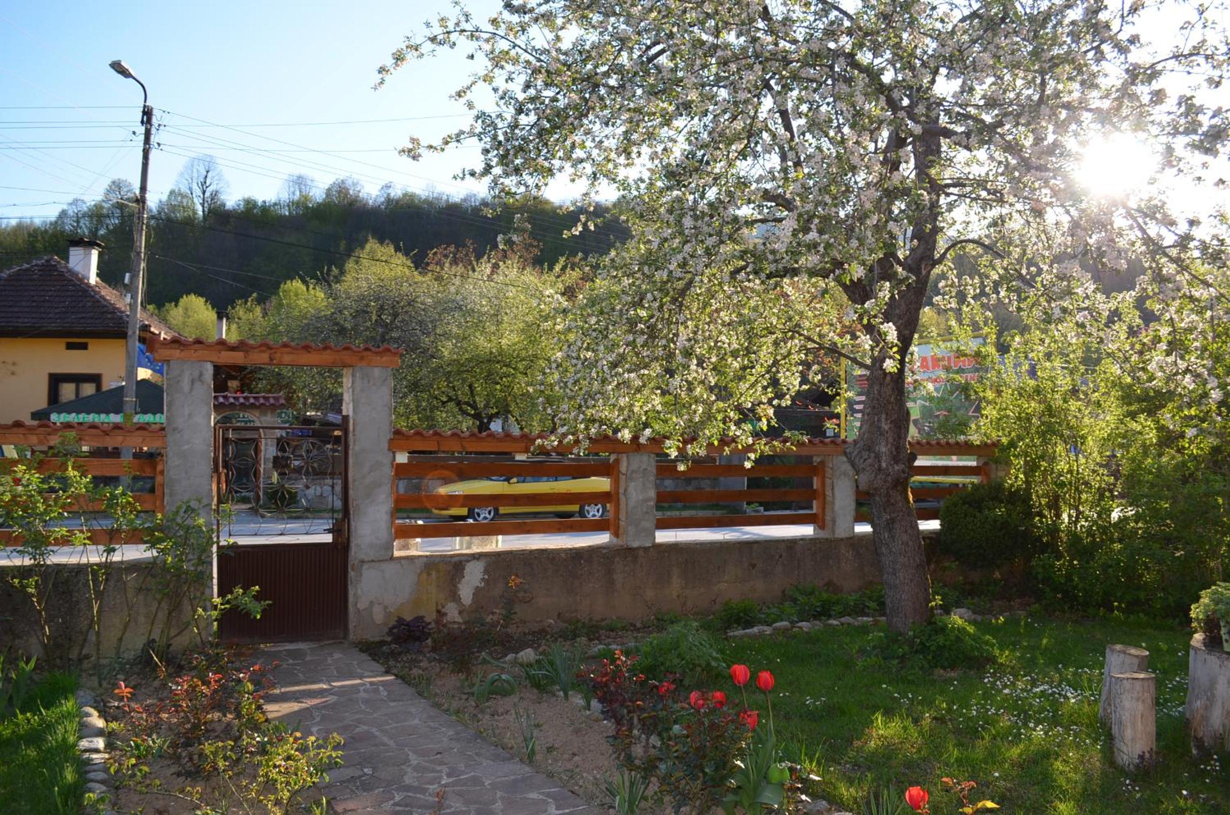 Villa Ribarica