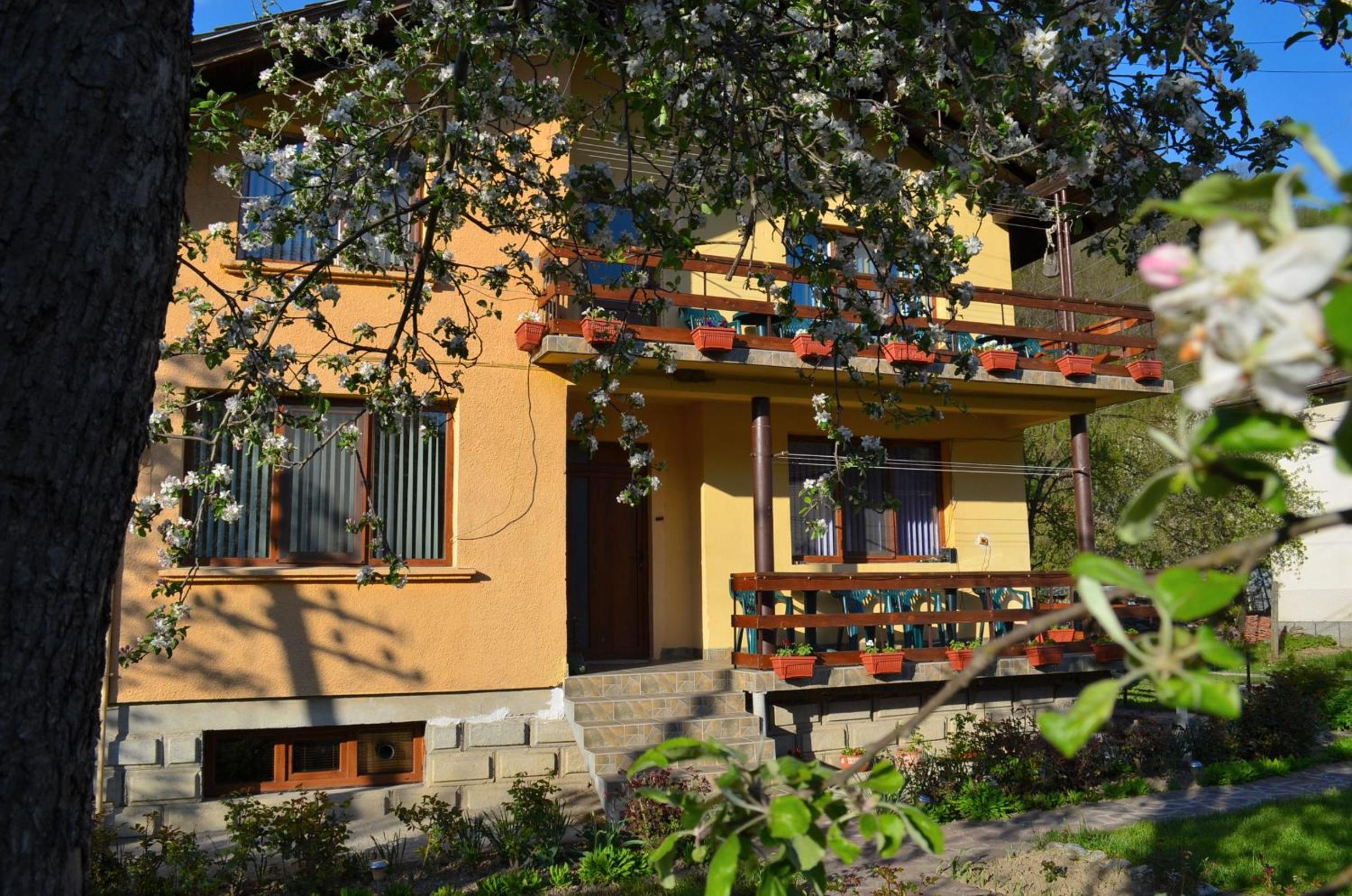 Villa Ribarica
