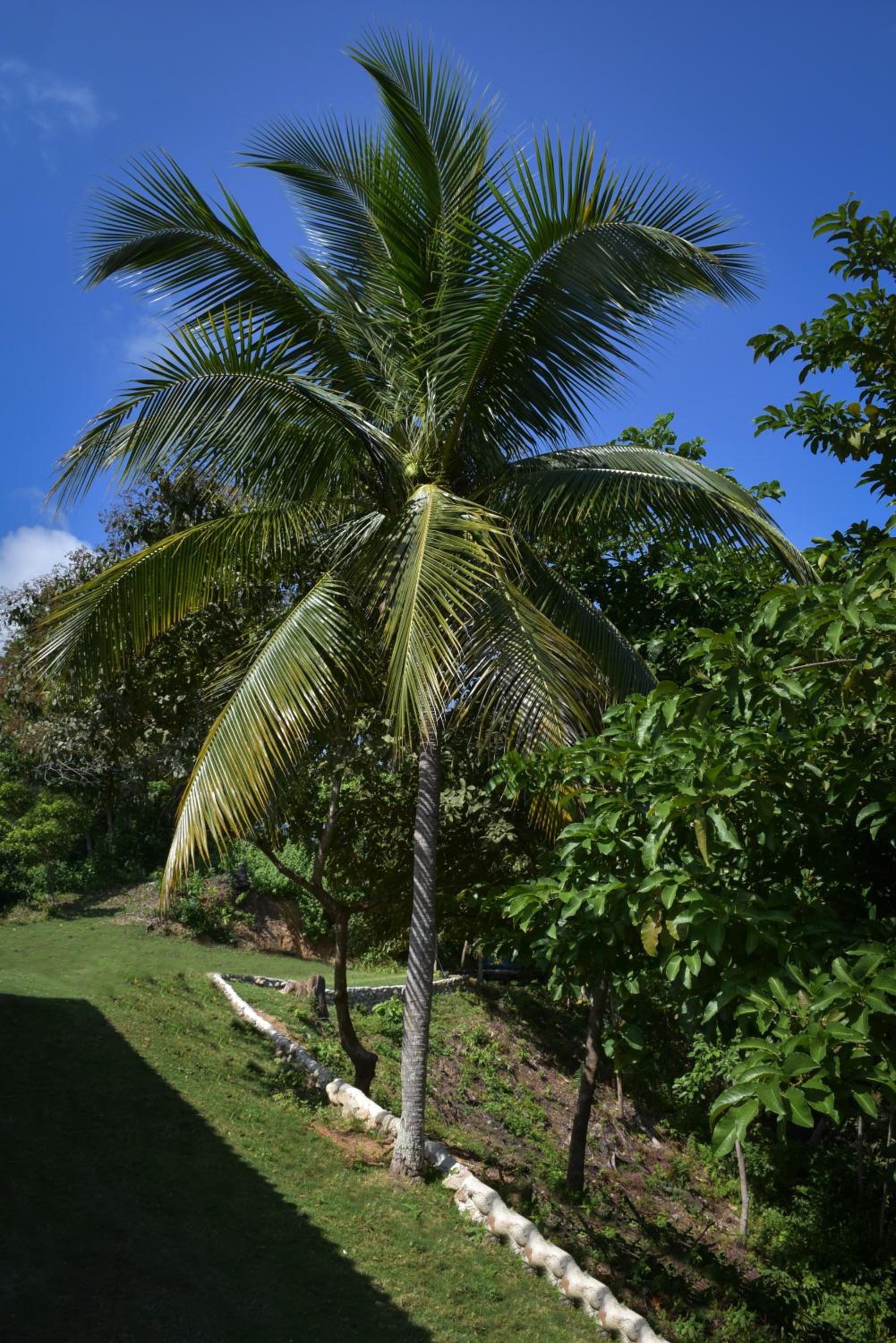 Entre Bosques Tayrona