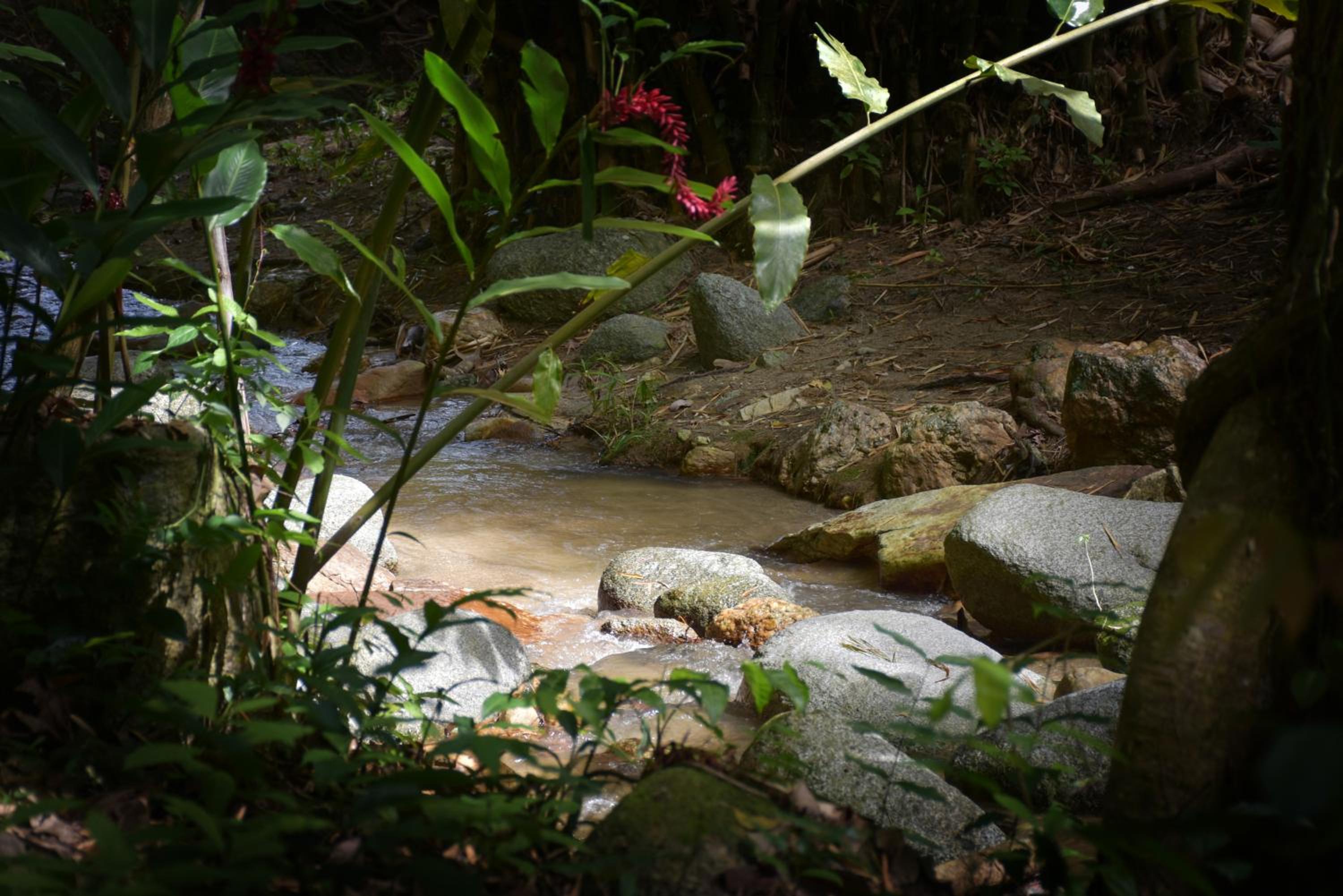 Entre Bosques Tayrona