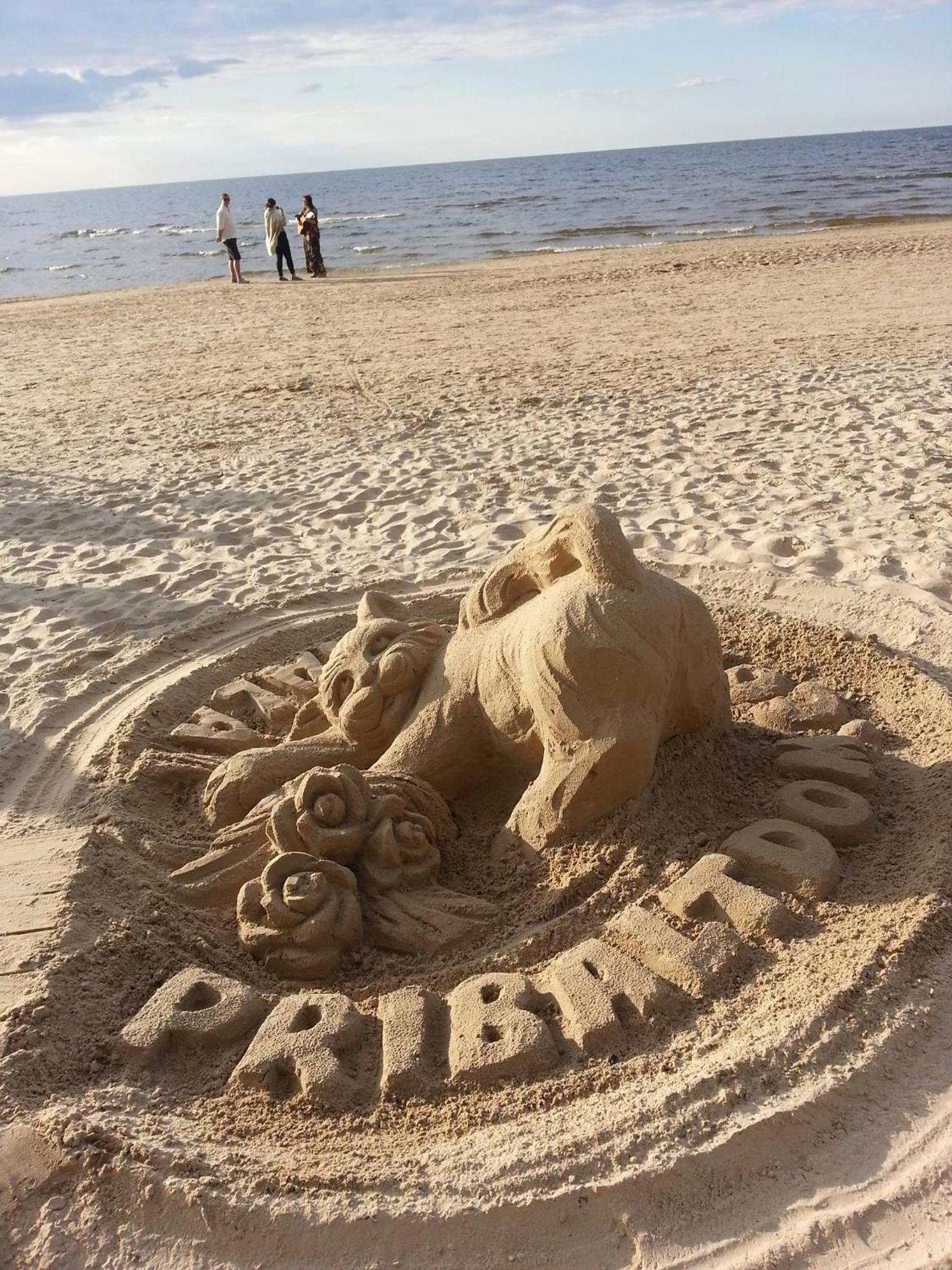 PribaltDom view 5