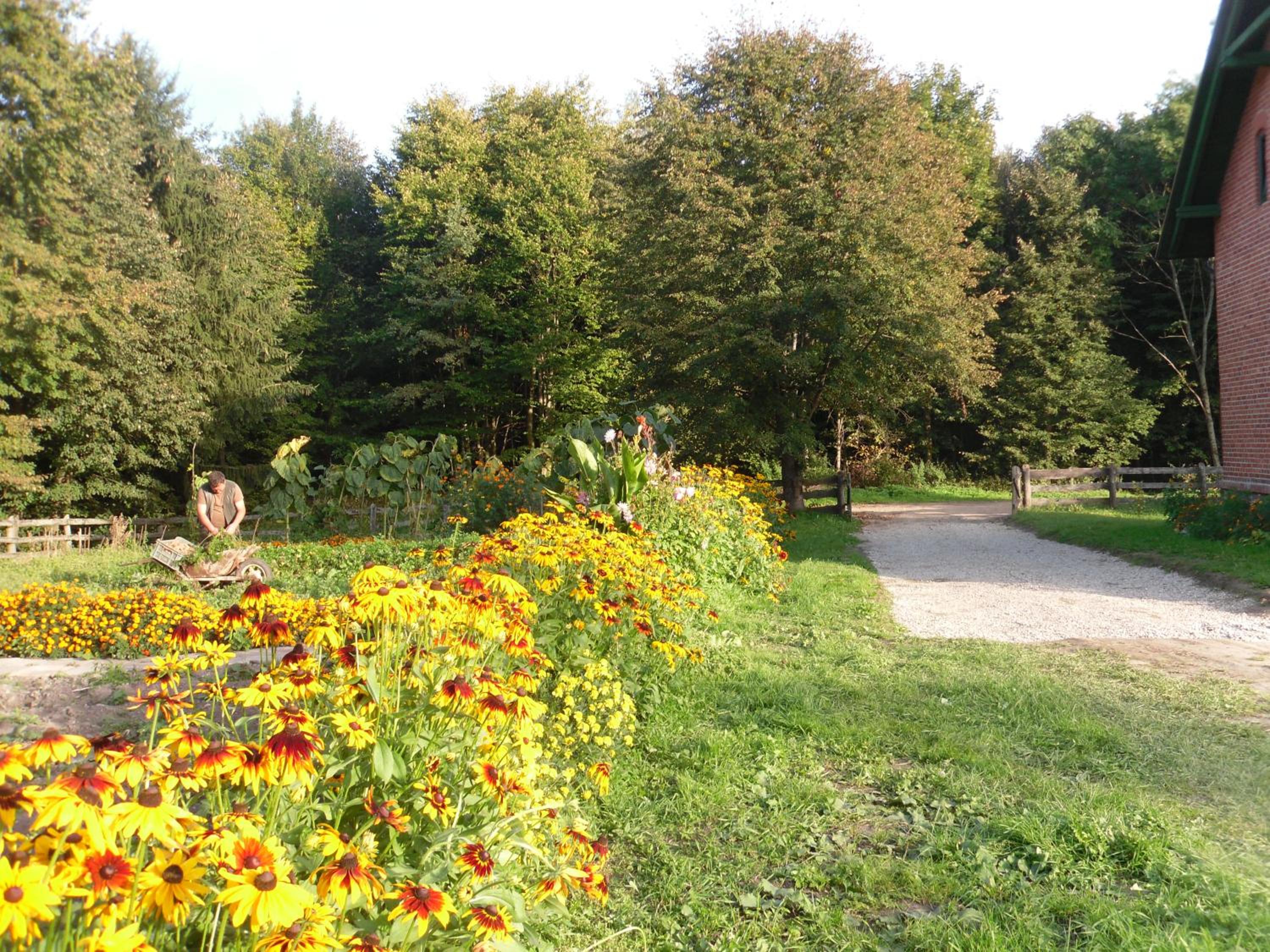 Photo 23