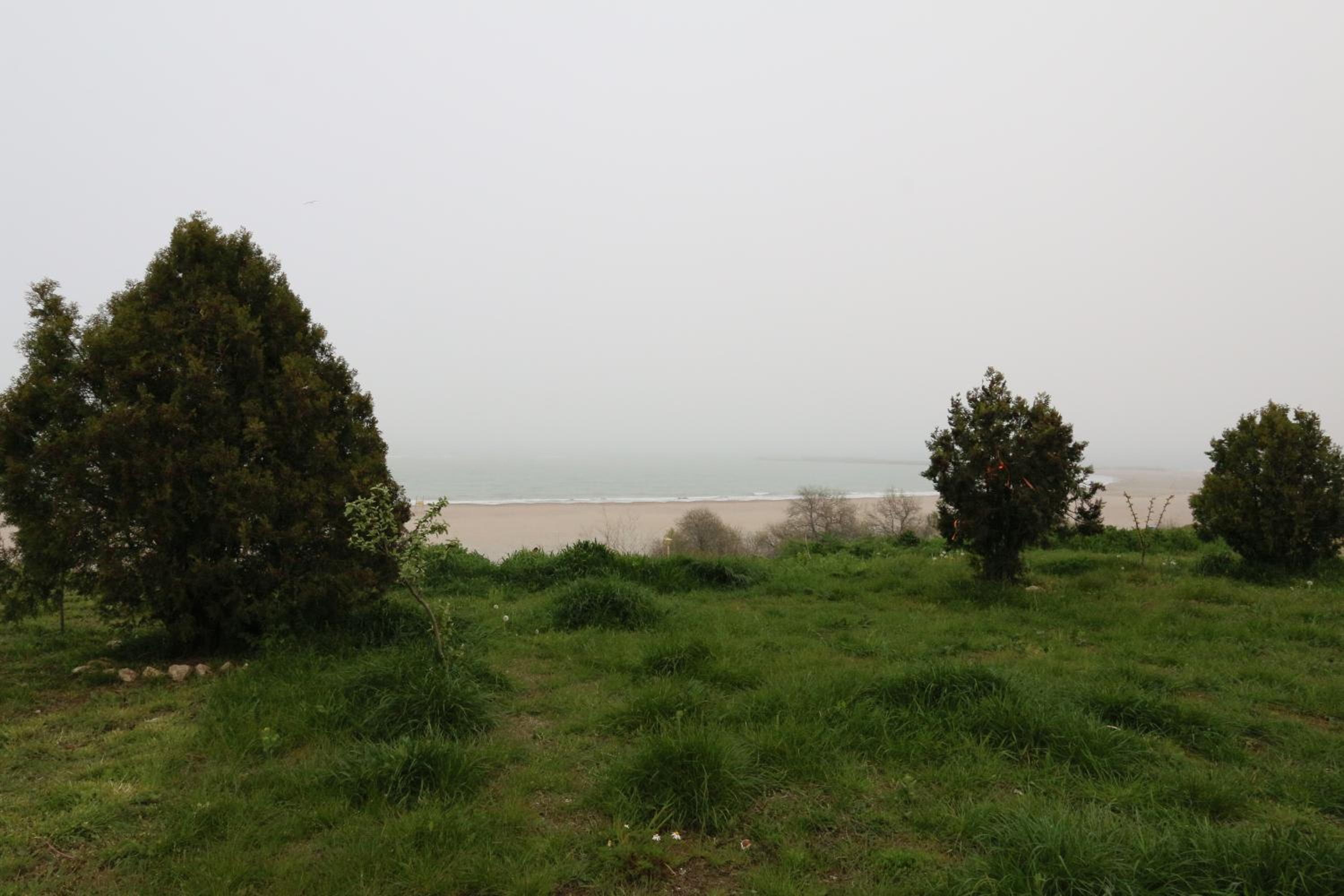 Photo 24