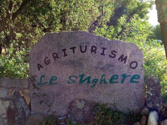 Le Sughere