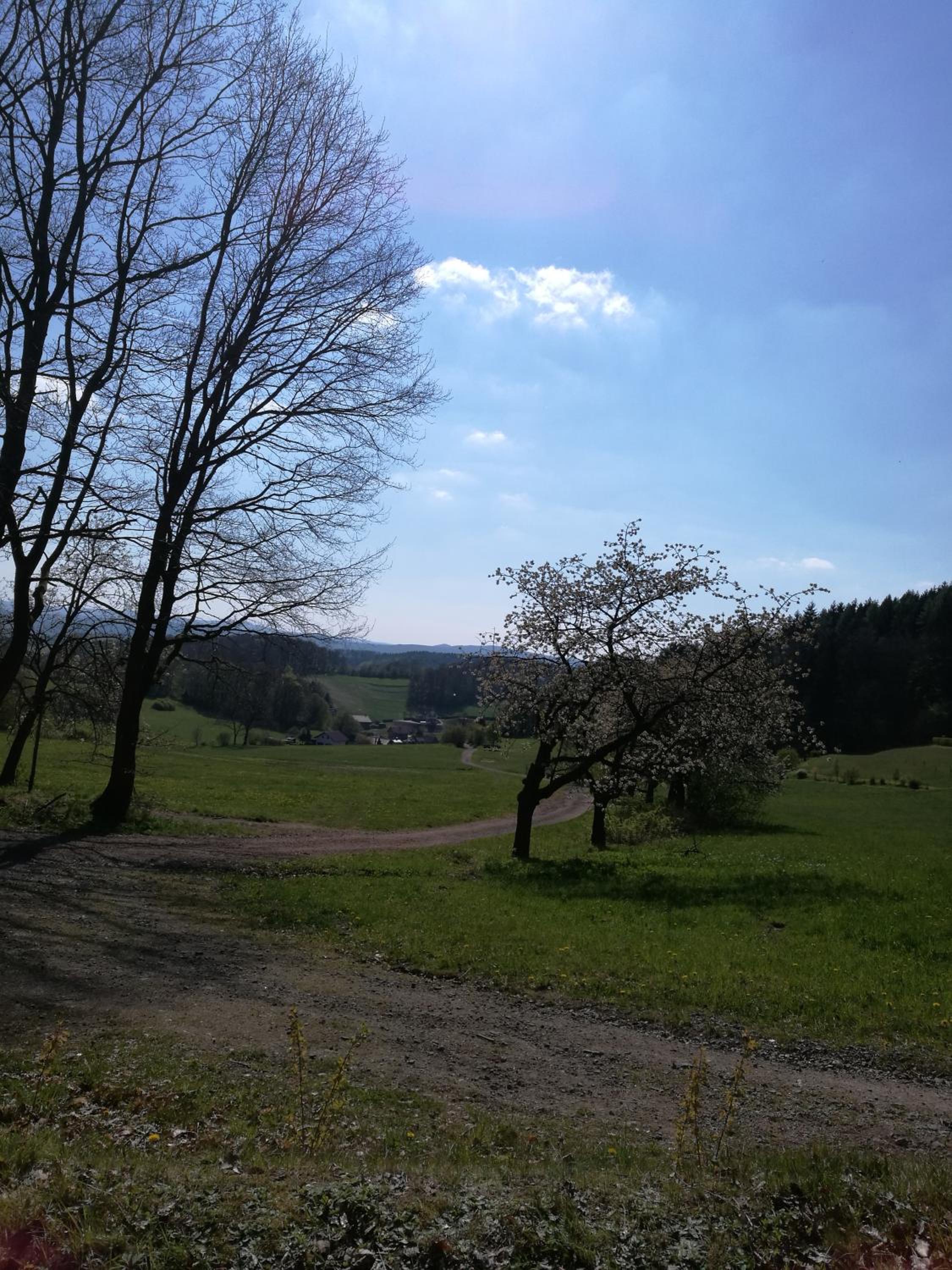 Ferienhaus am Radweg