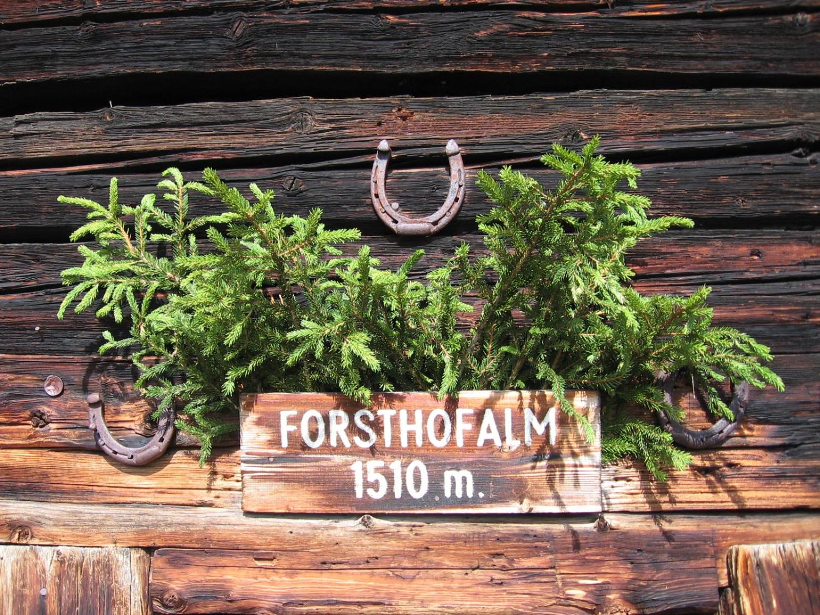Pension Forsthof