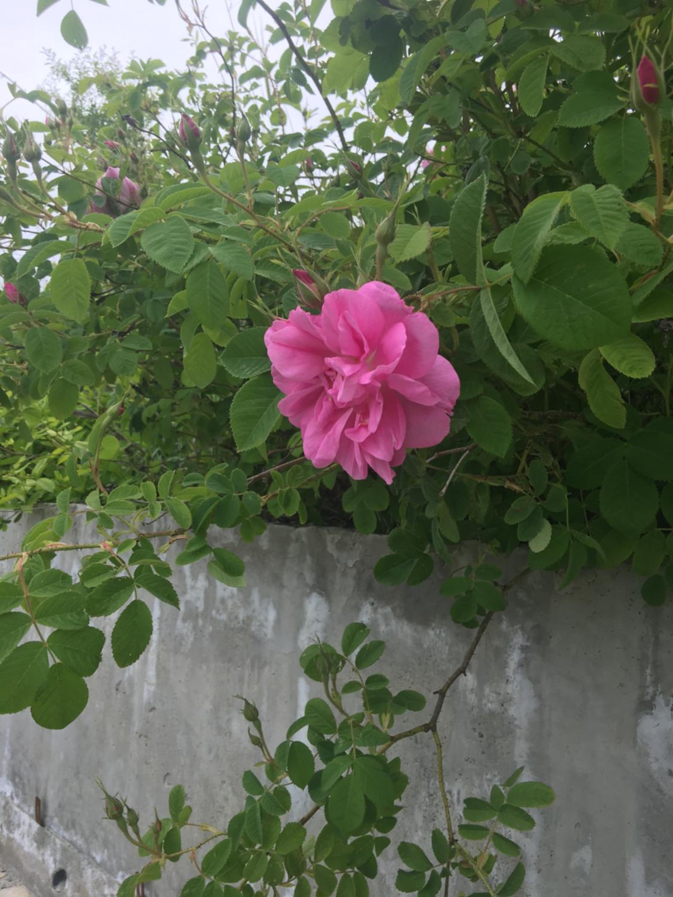 Photo 19