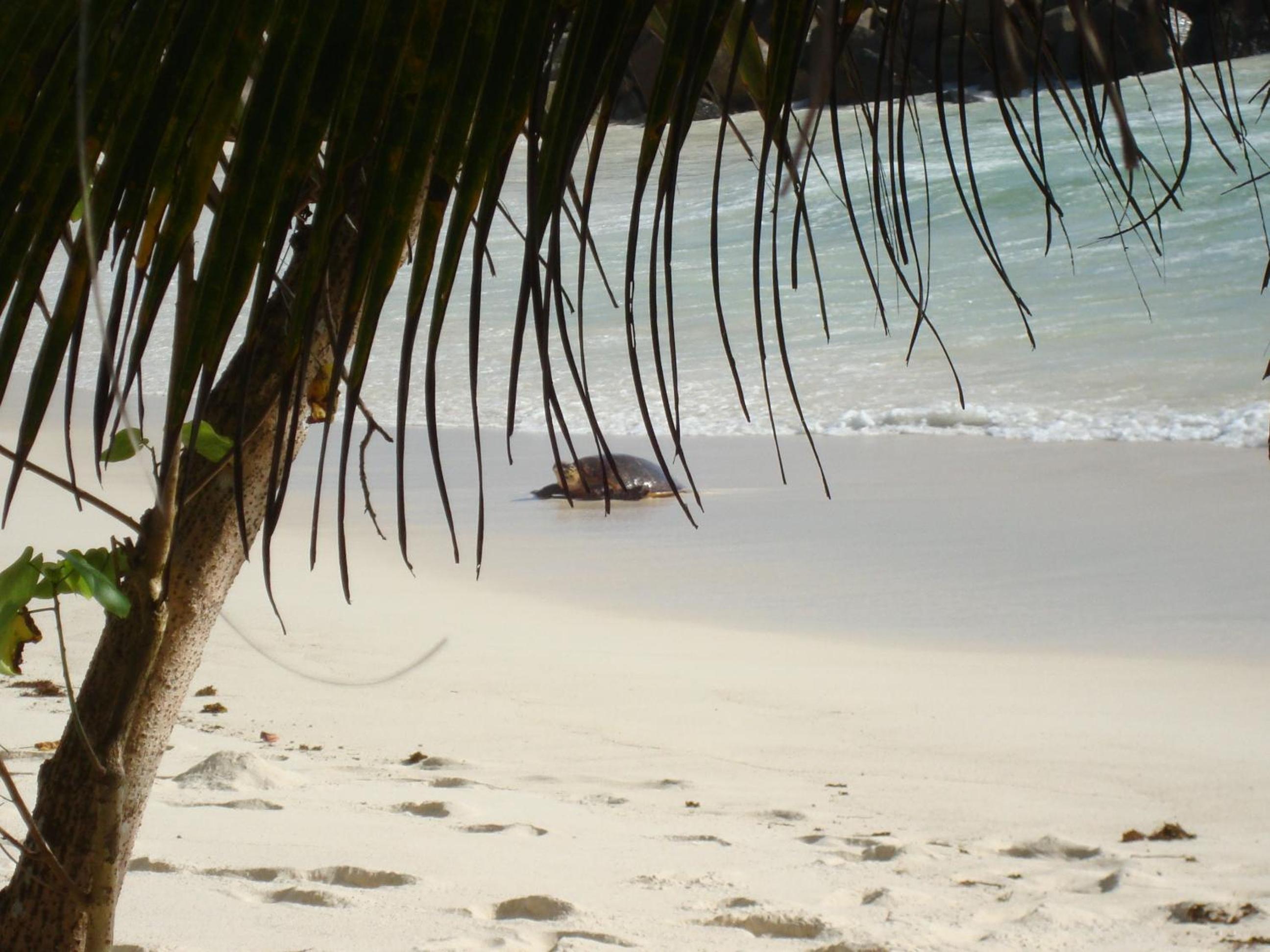 Villa Belle Plage