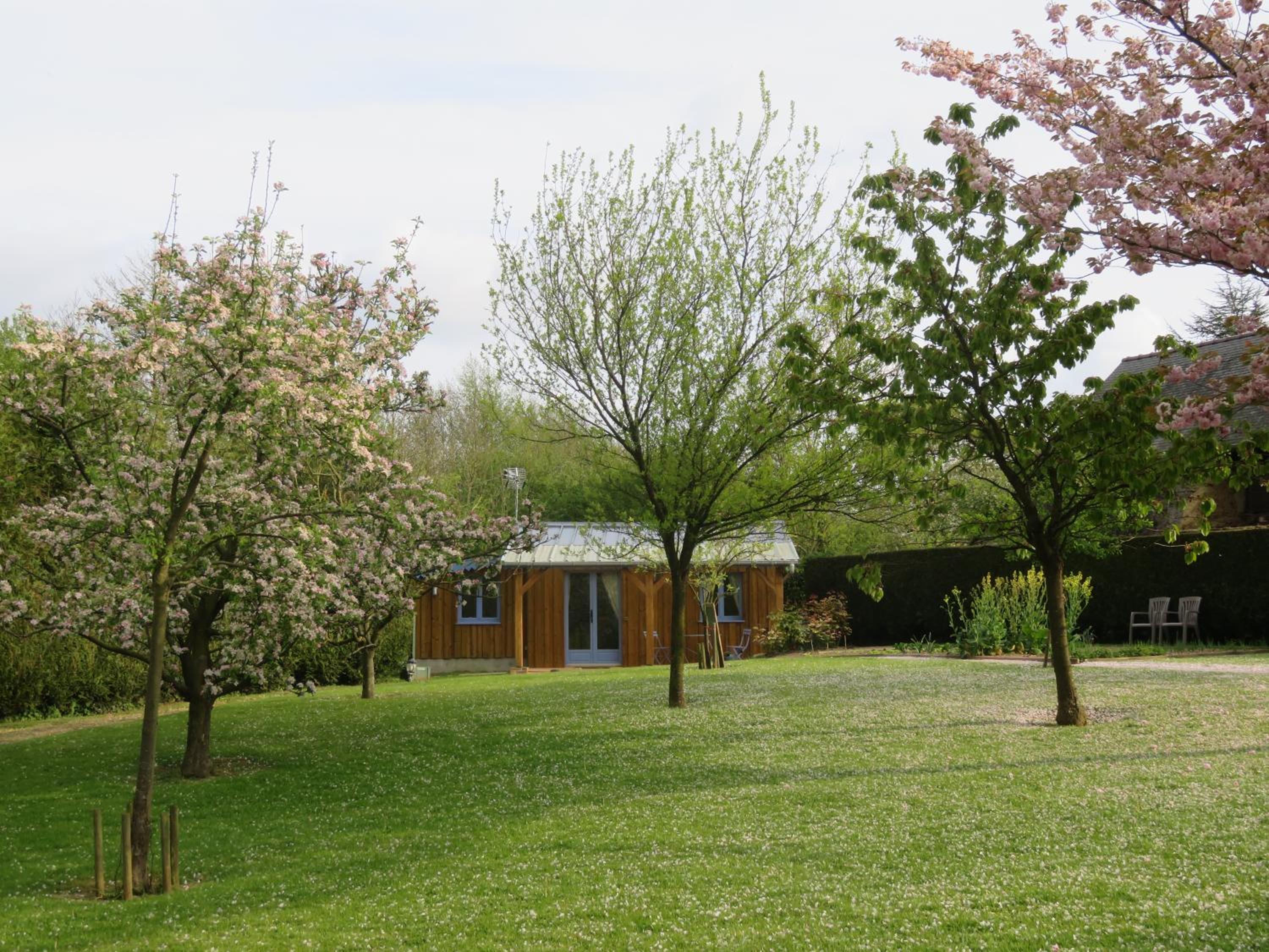 Photo 9