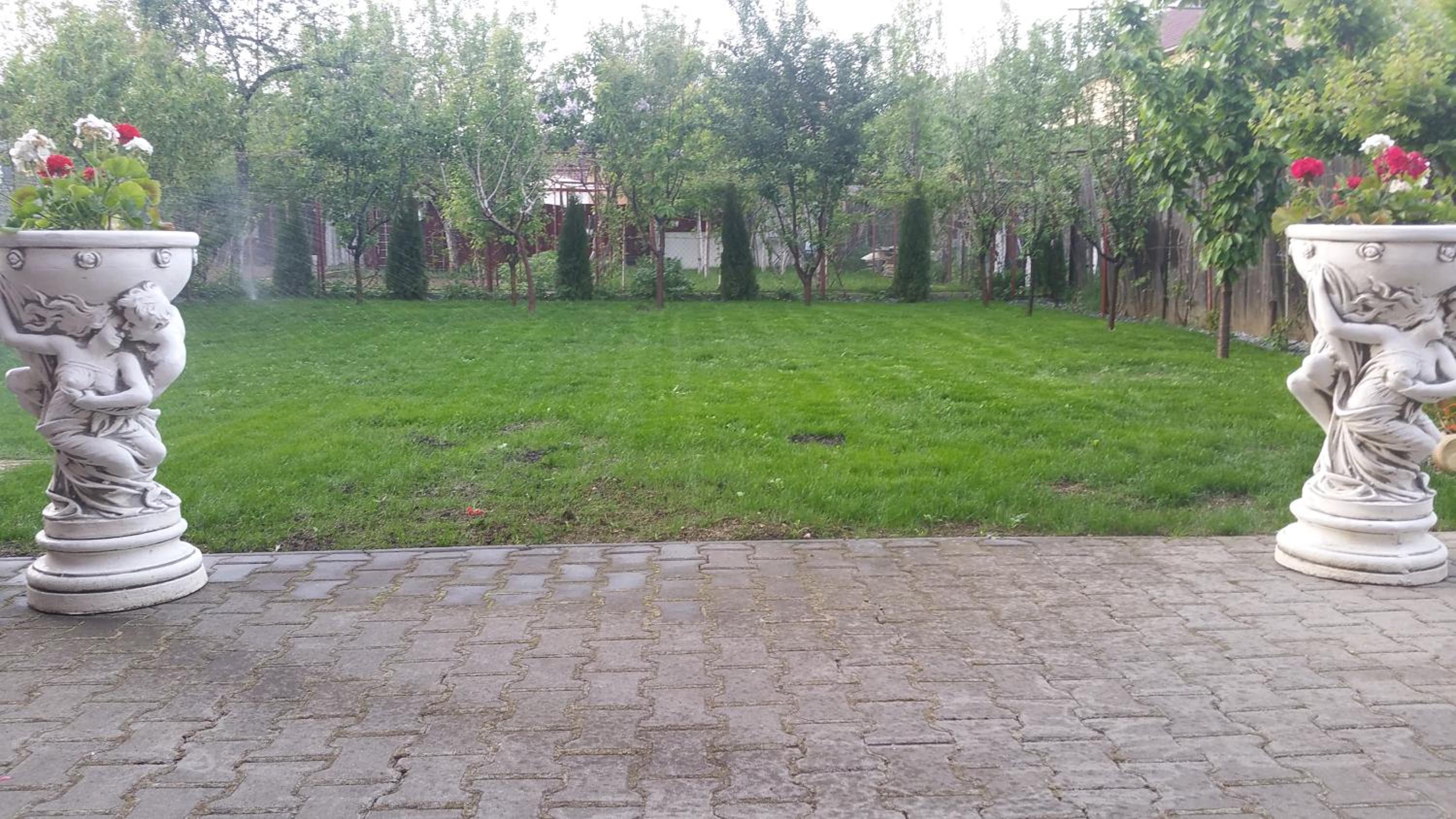 Photo 52