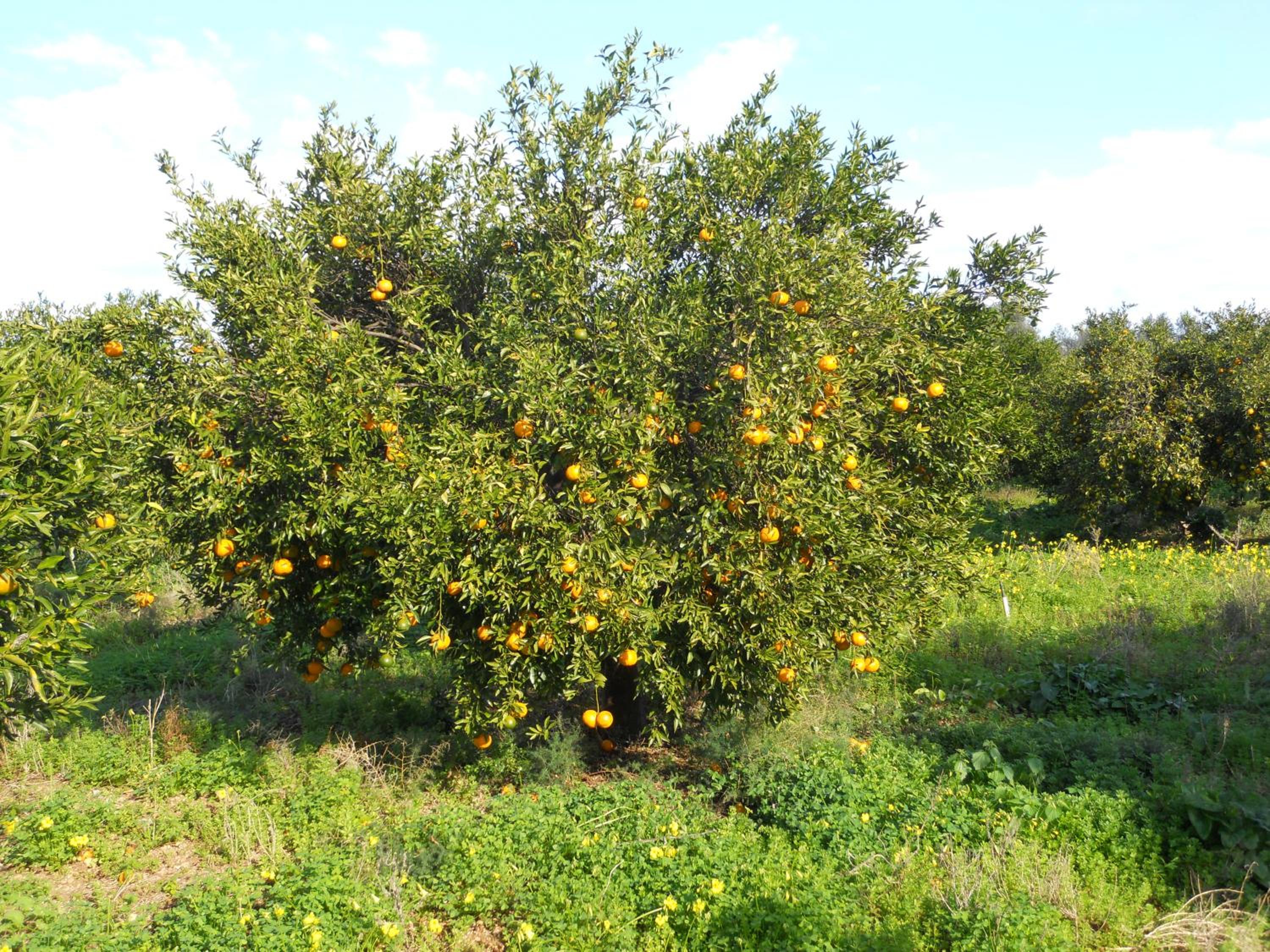Photo 30