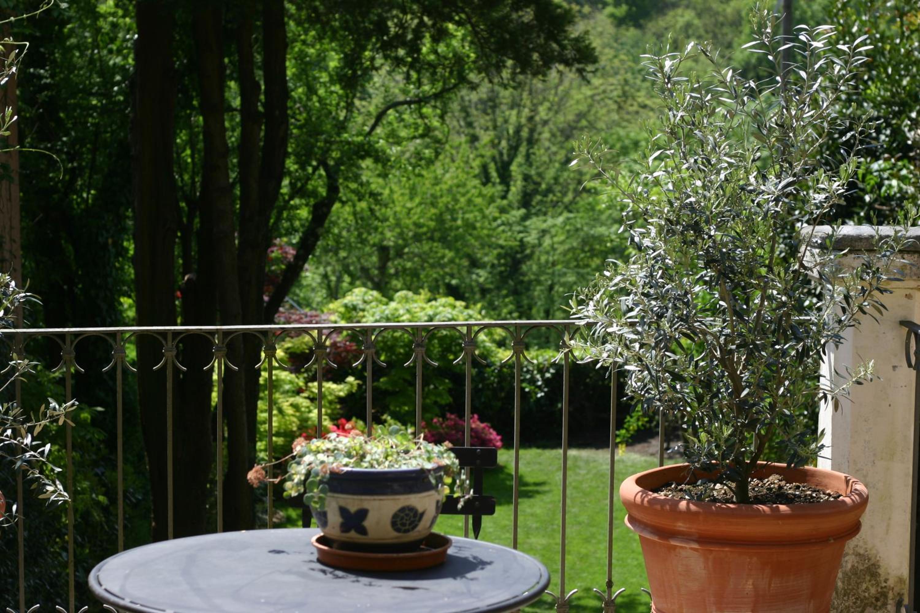Chez Marianne 