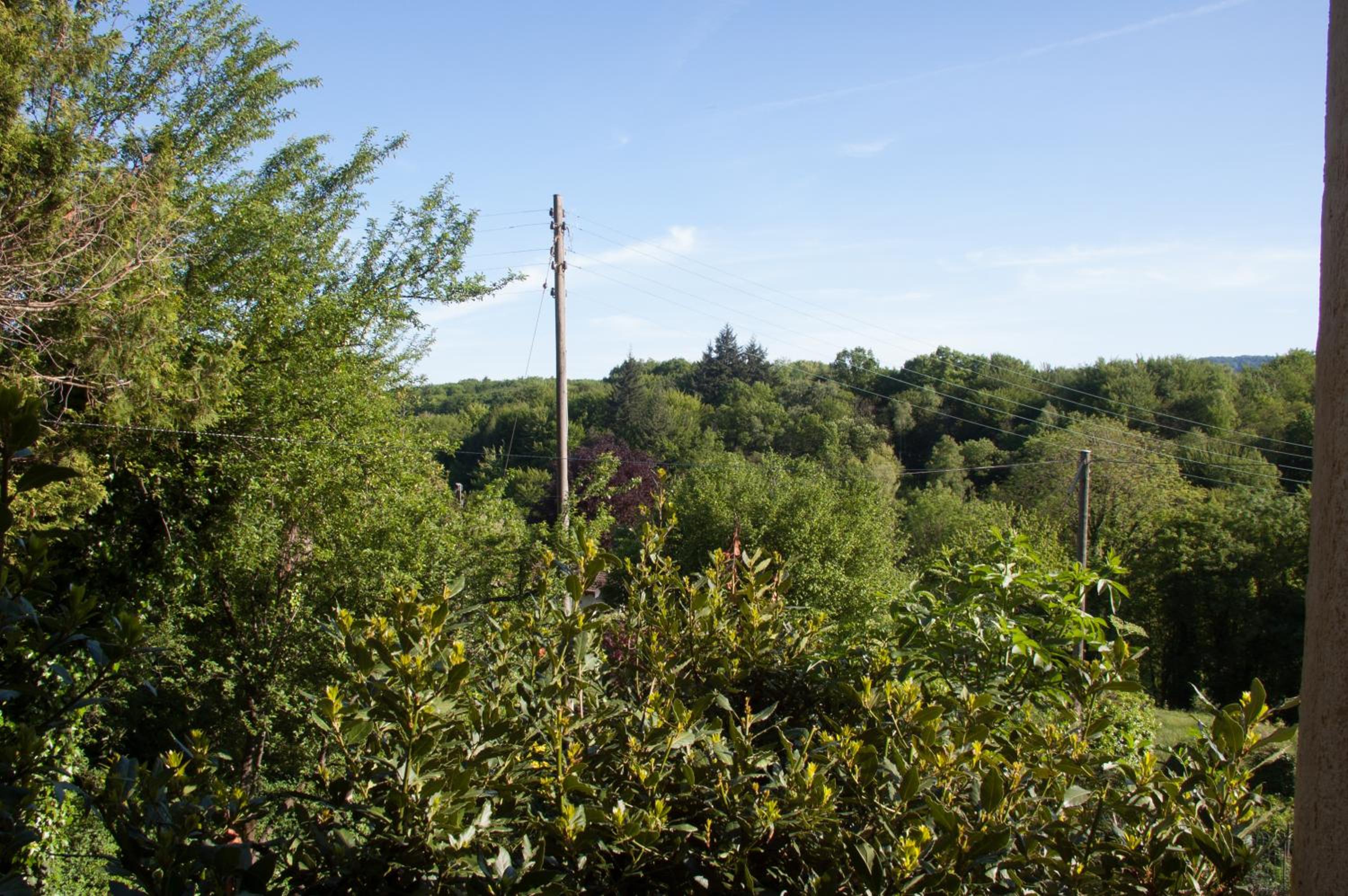 Chez Marianne 