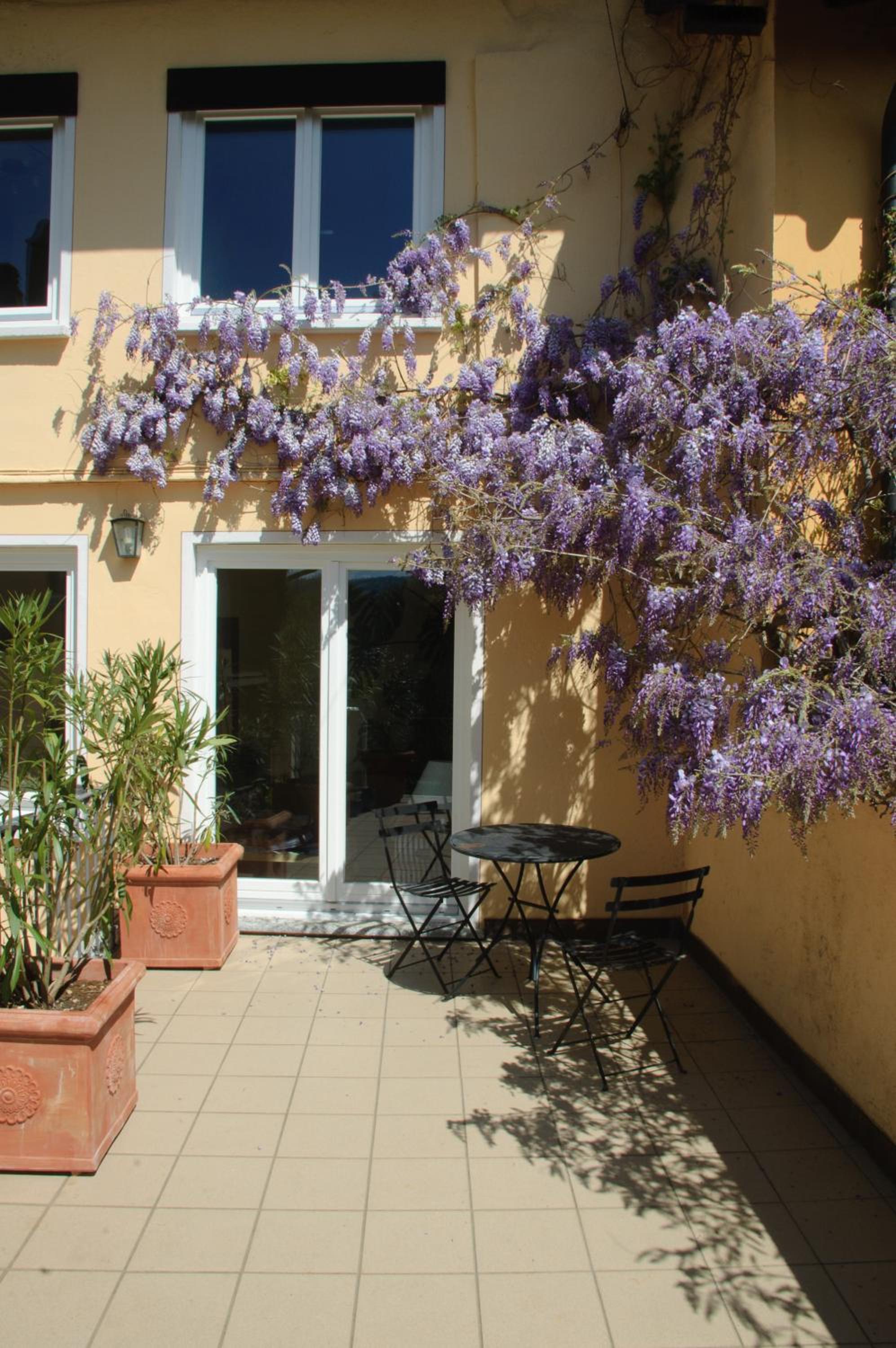 Chez Marianne 