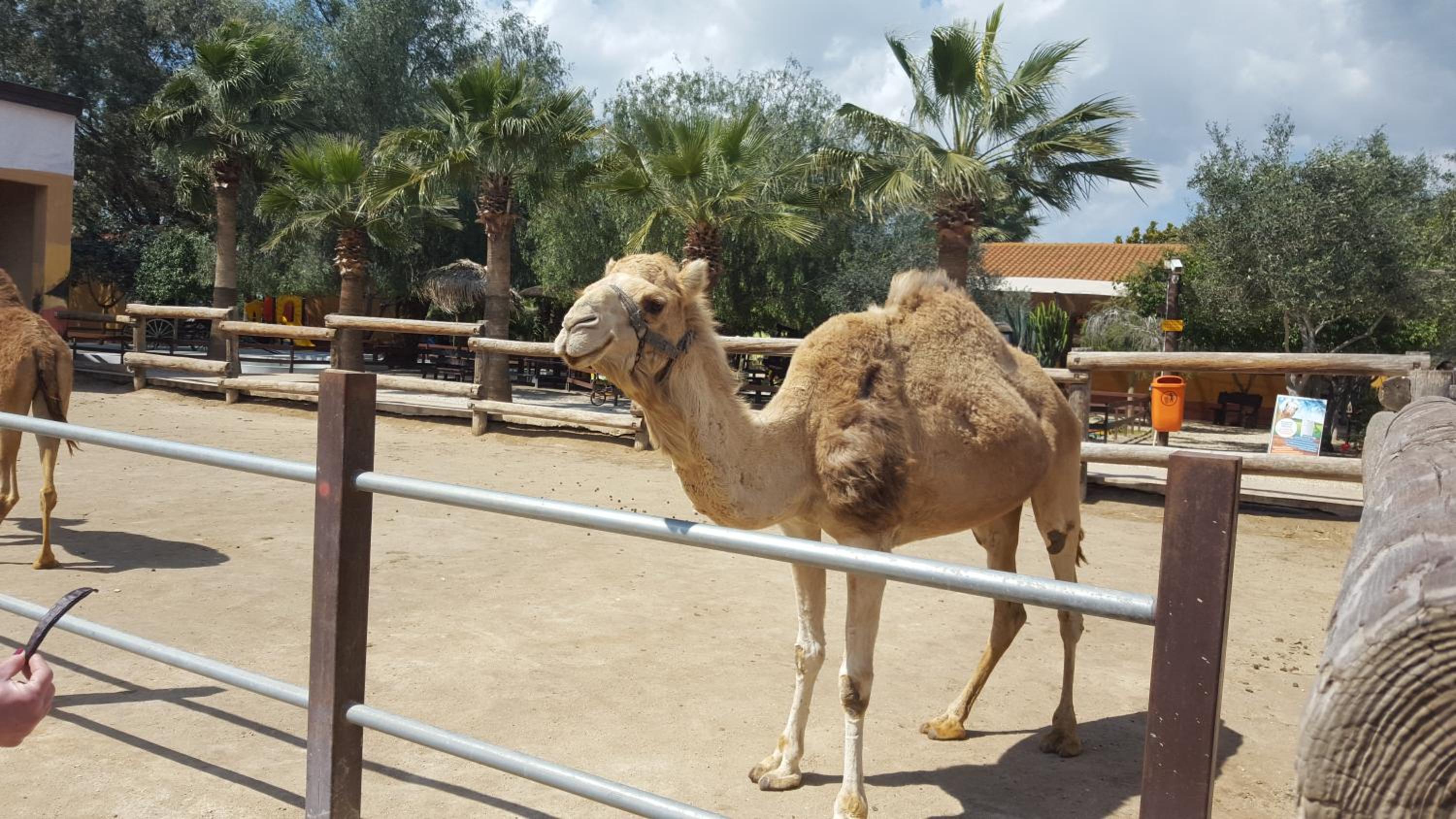 Photo 108