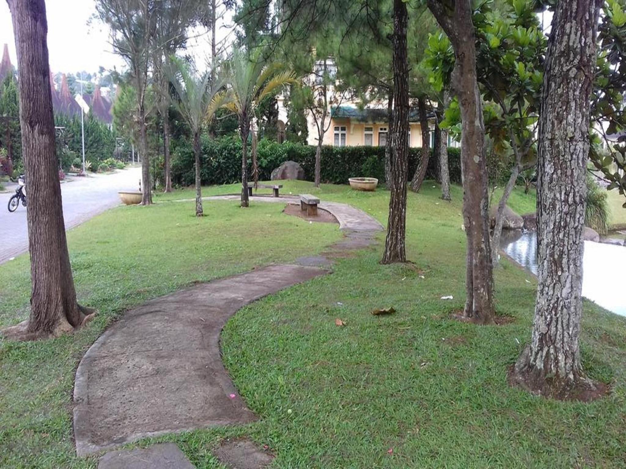 Photo 46