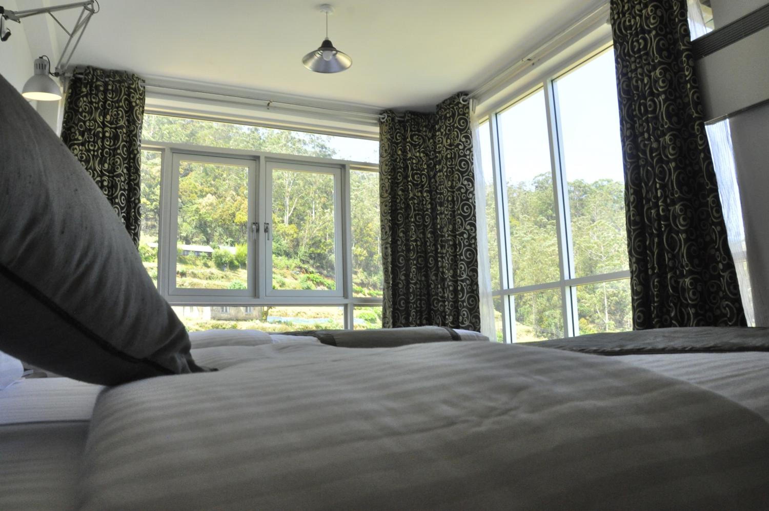 Forest View Lodge view 2
