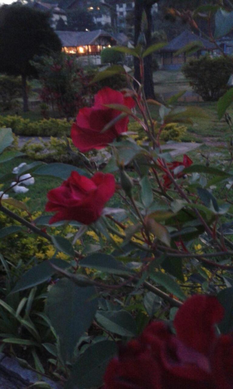 Photo 47