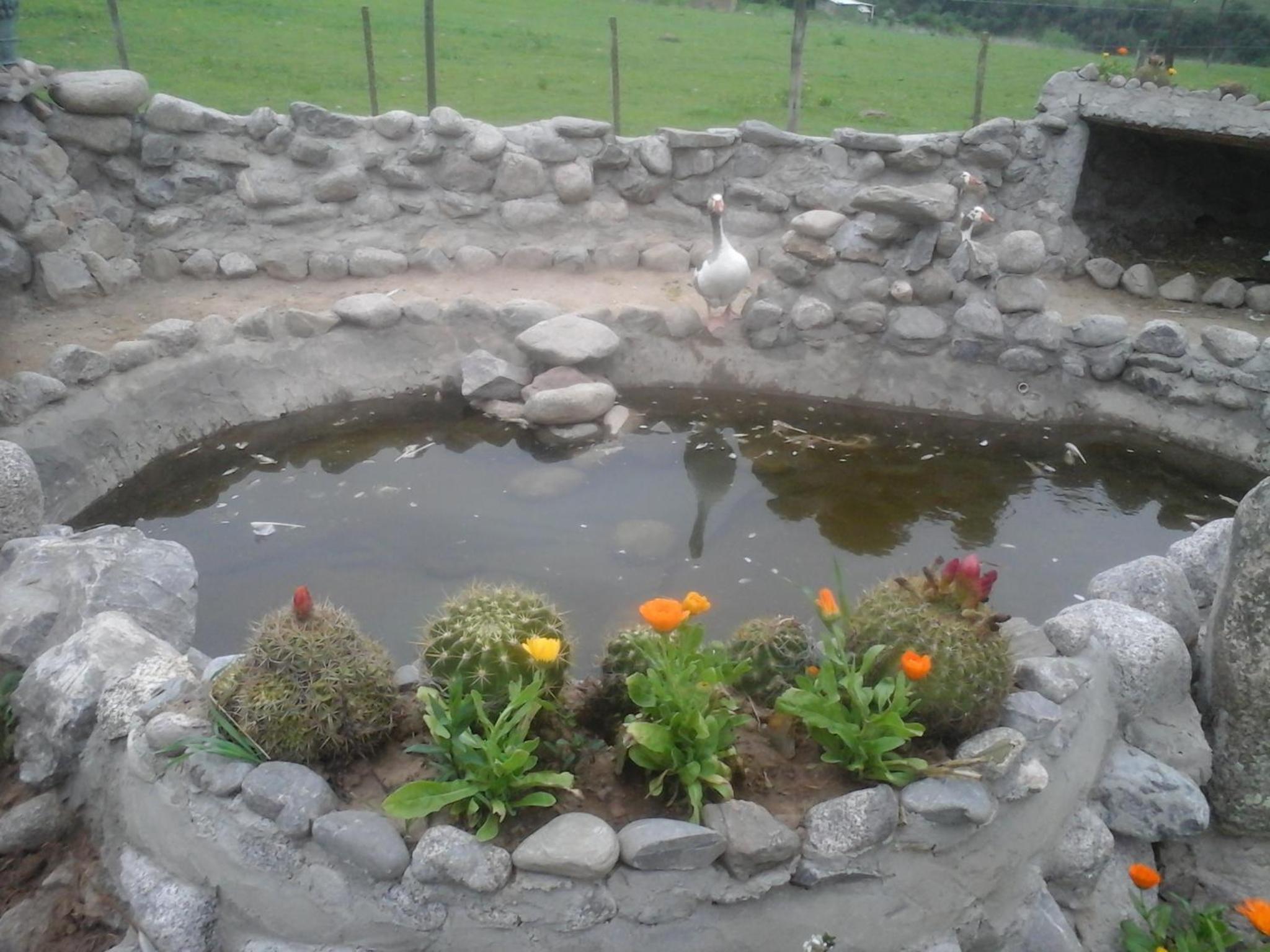 Villa Rural San Miguel de la Loma