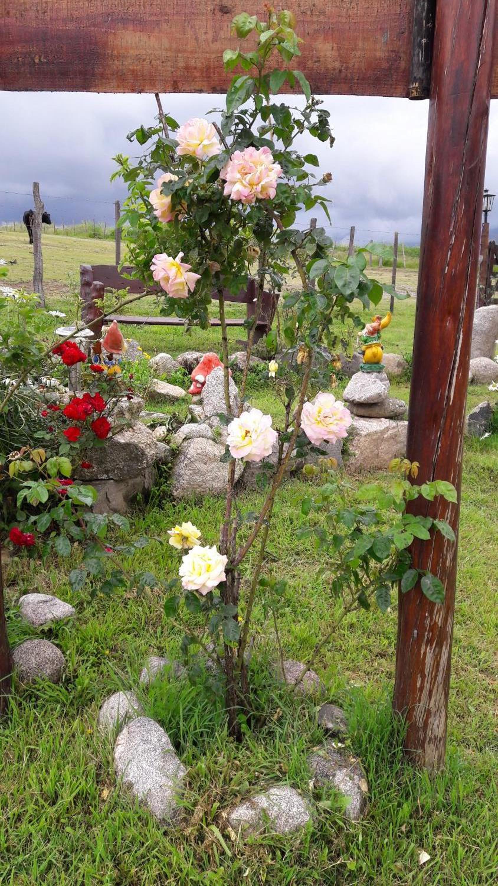 Villa Rural San Miguel de la Loma