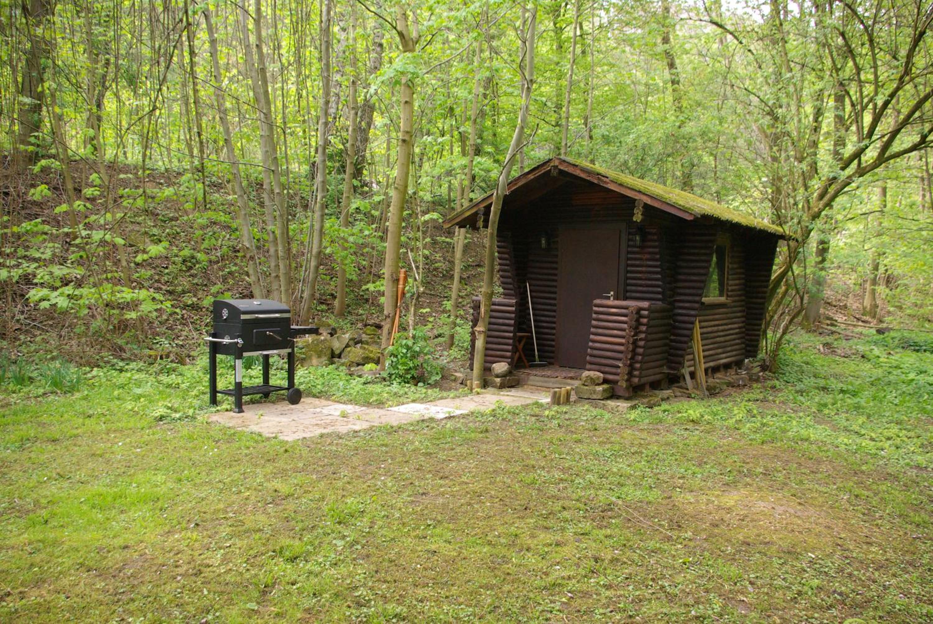 Photo 18
