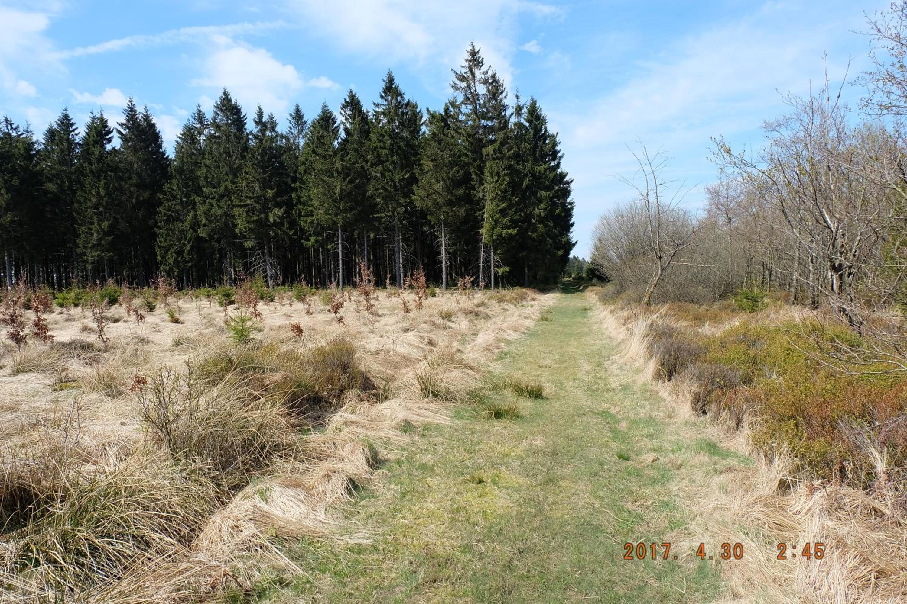 Photo 38