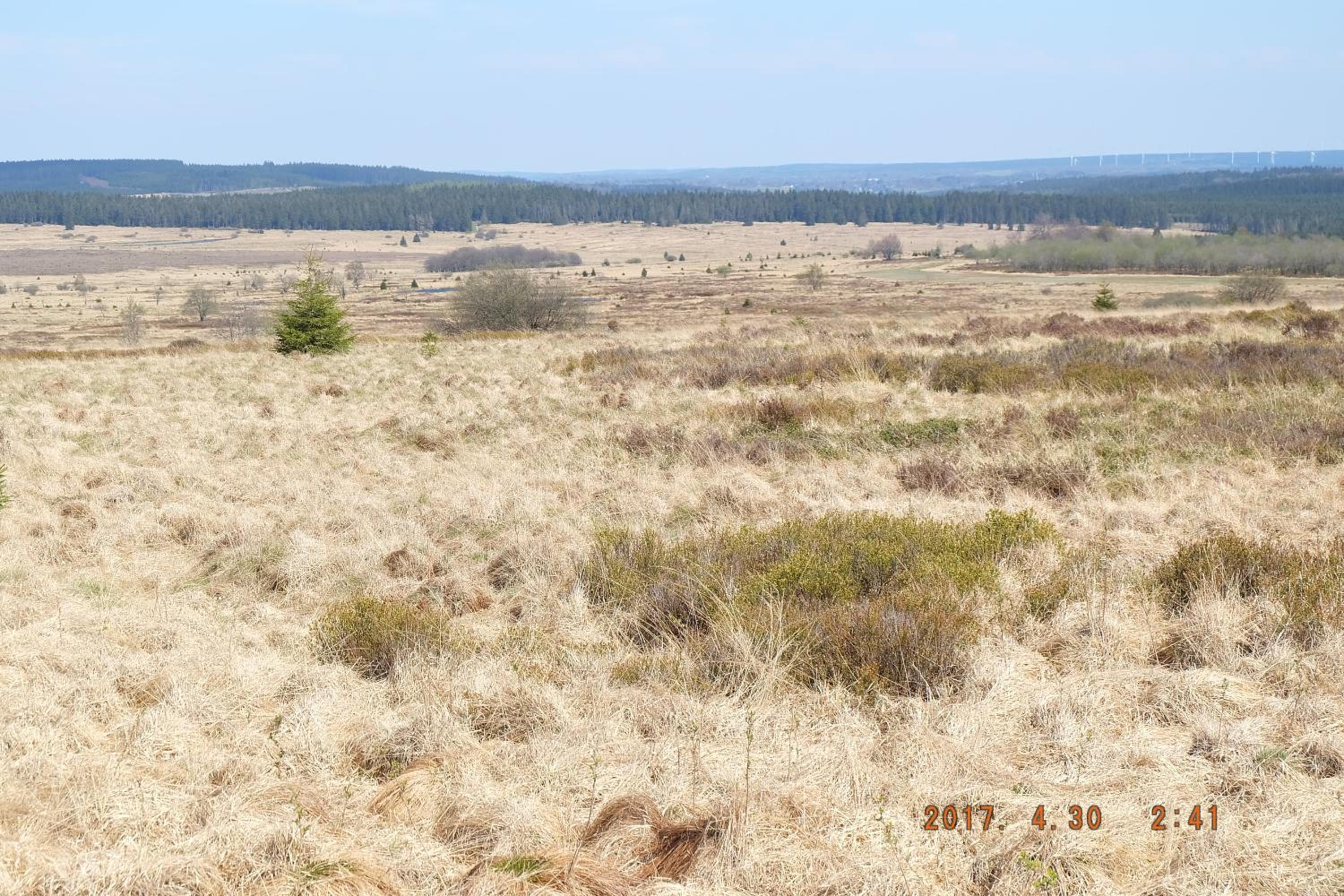 Photo 44