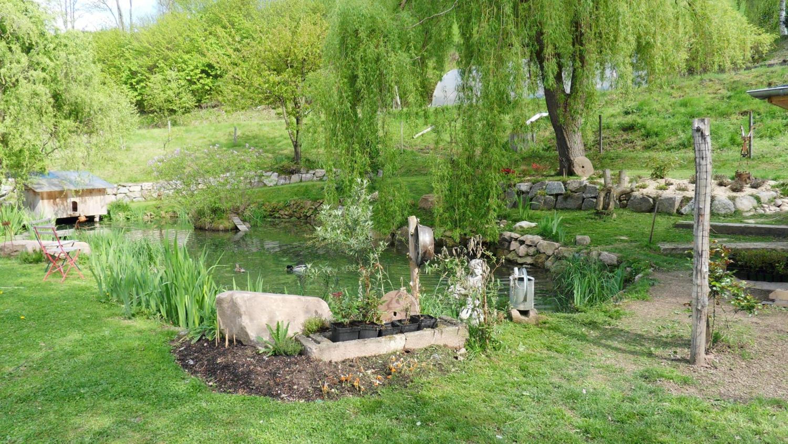 Photo 23