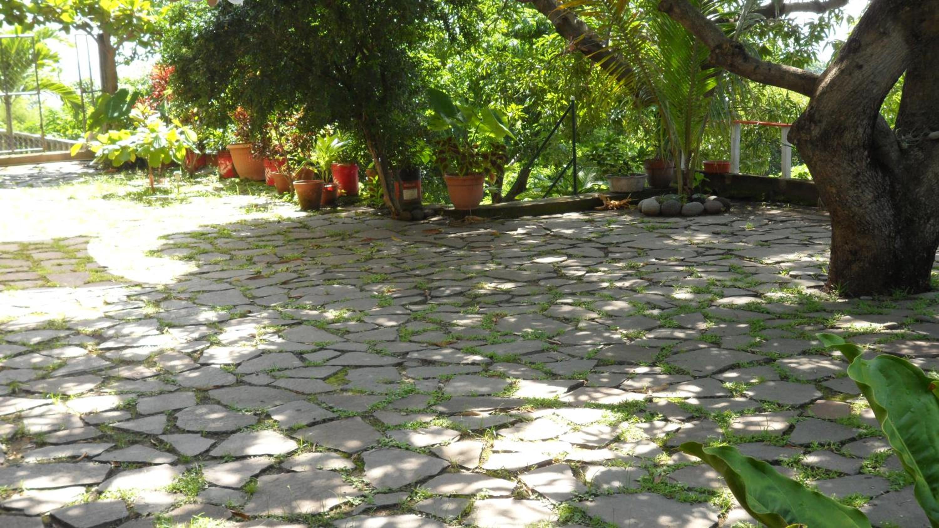 Photo 26
