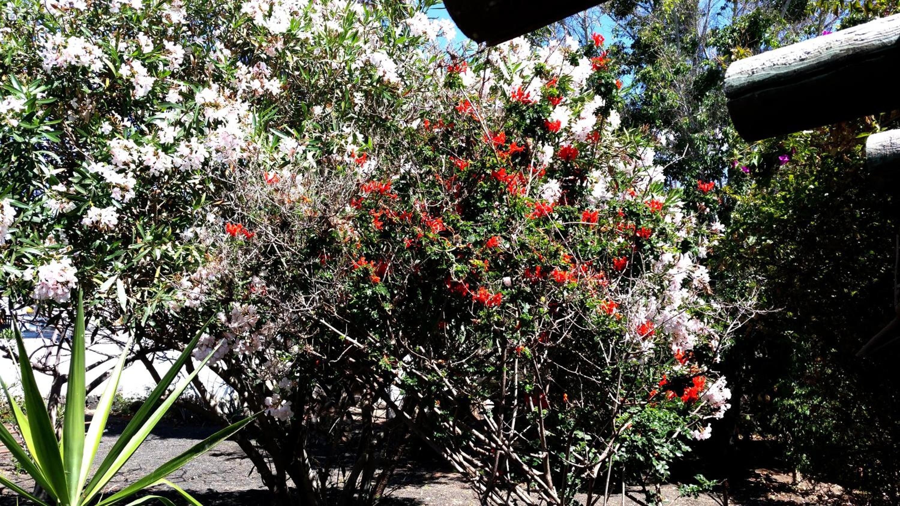 Photo 26