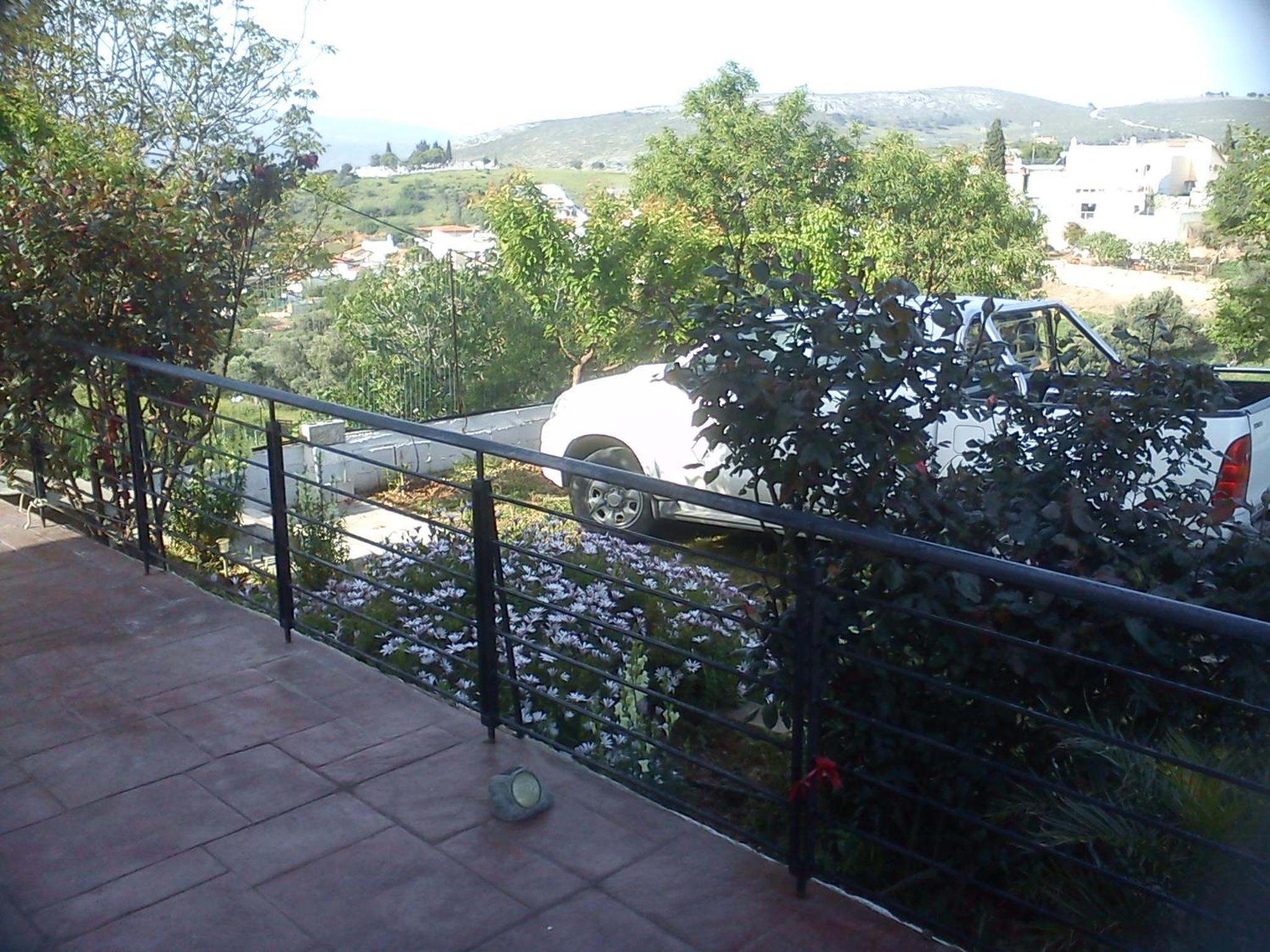 Photo 41