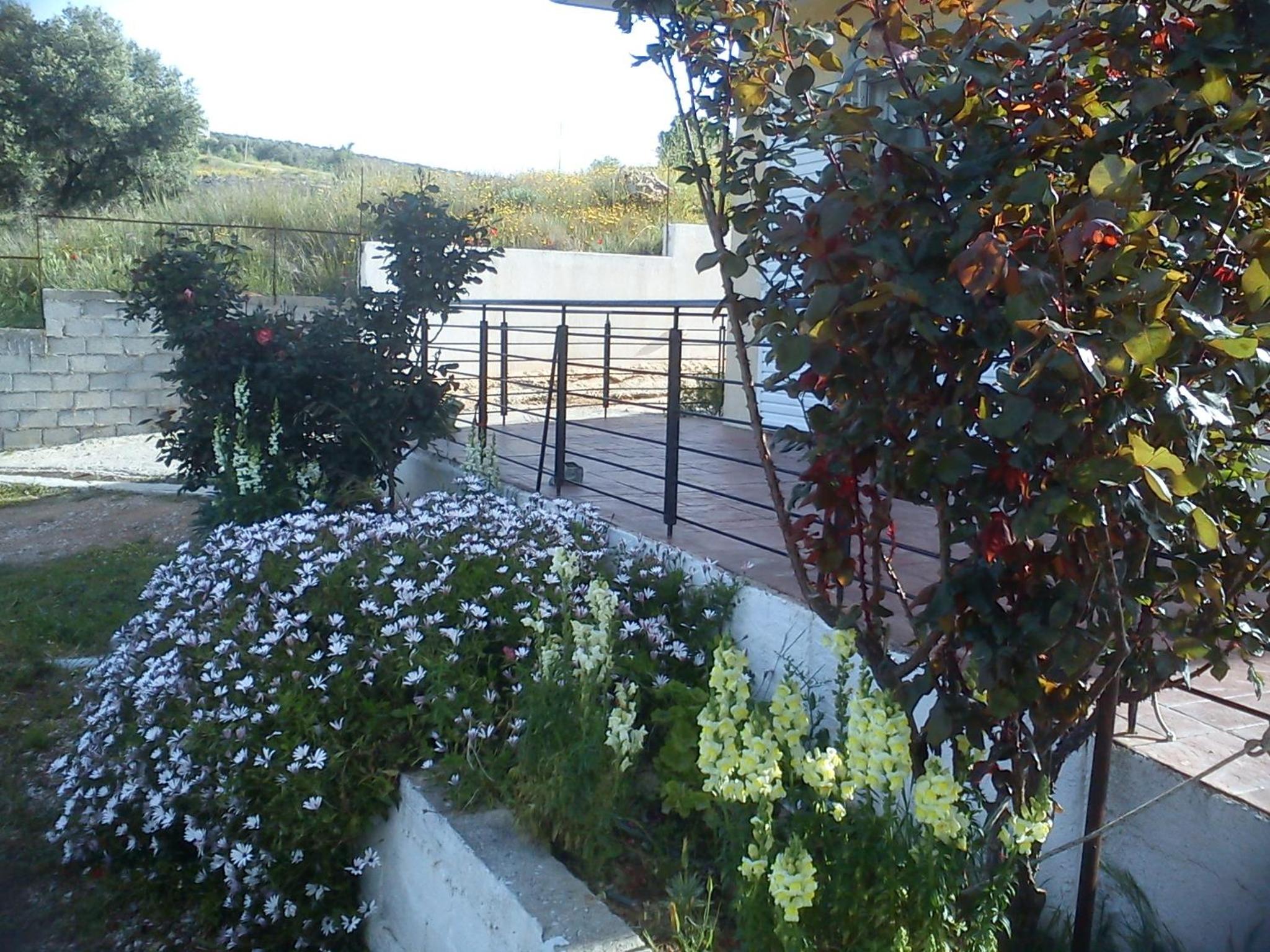 Photo 40