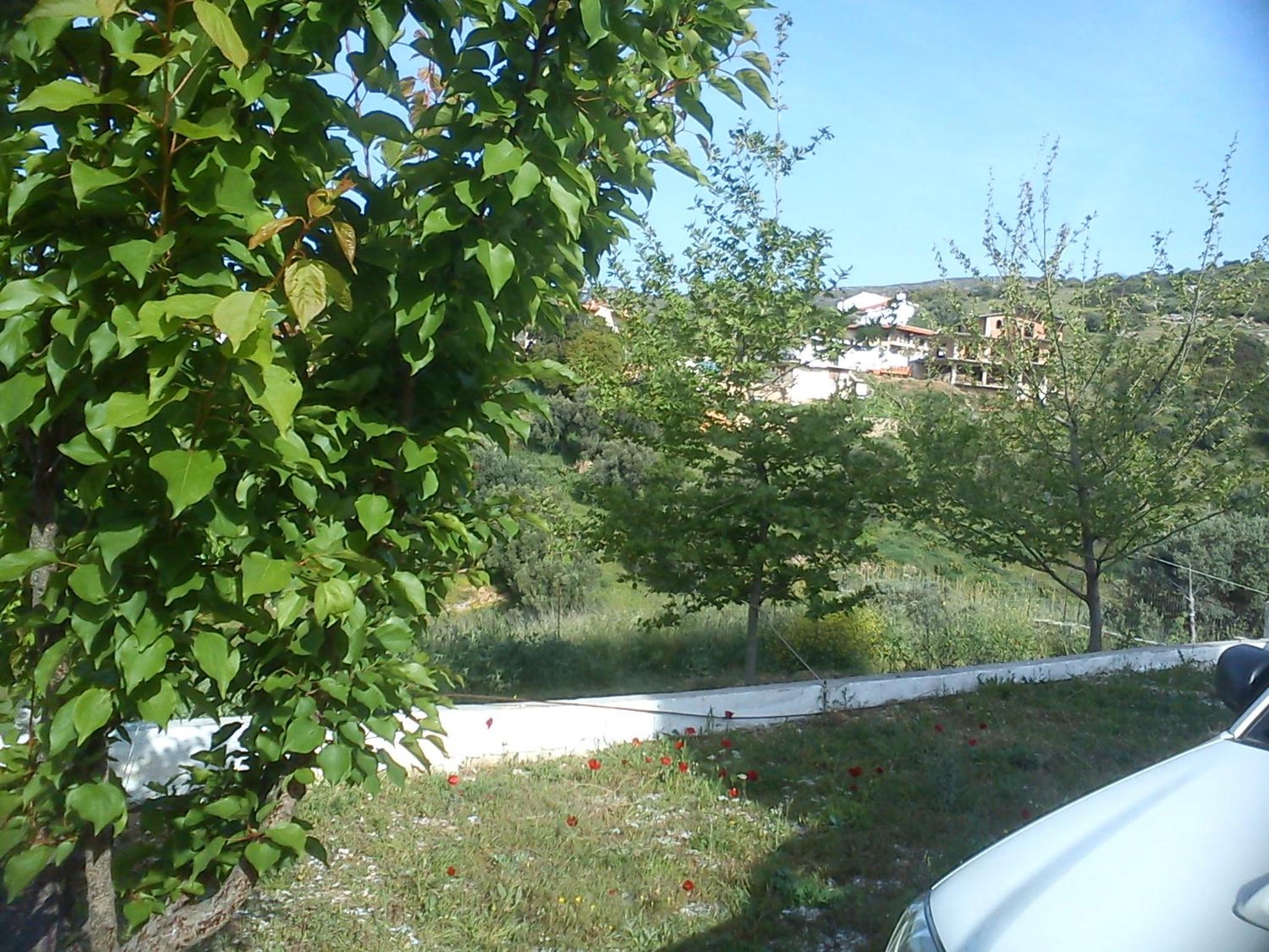Photo 49