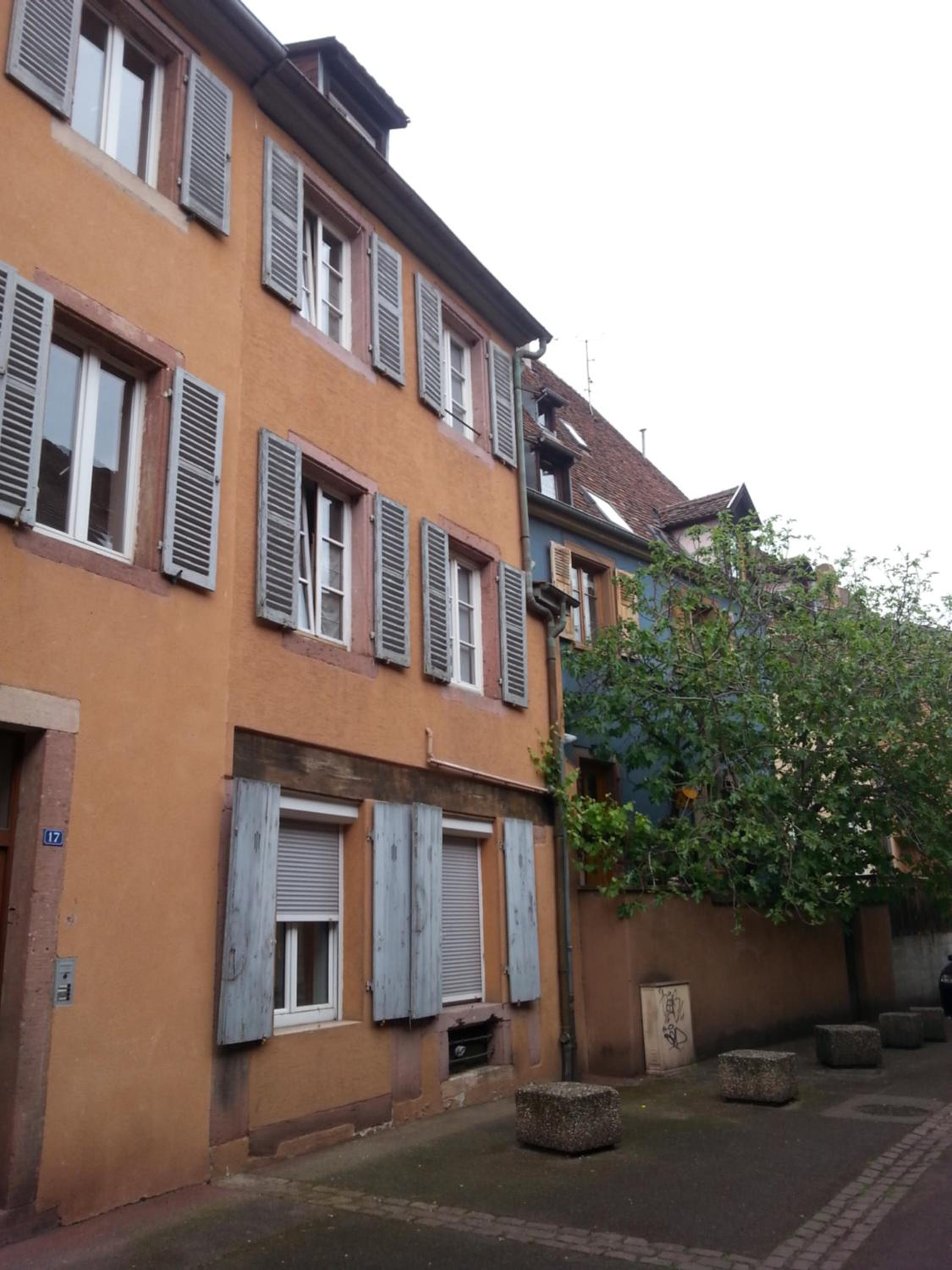 Photo 42