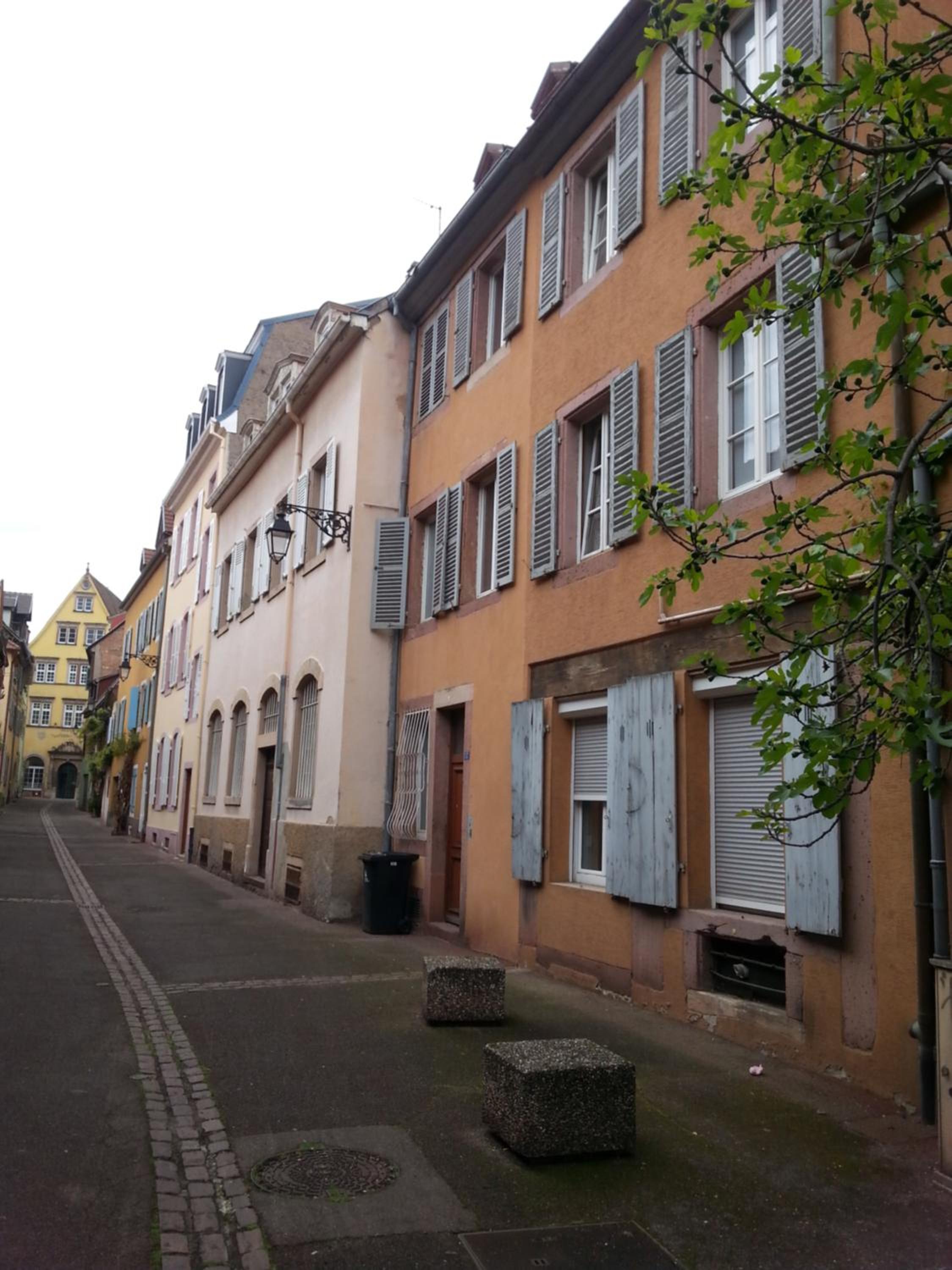 Photo 45