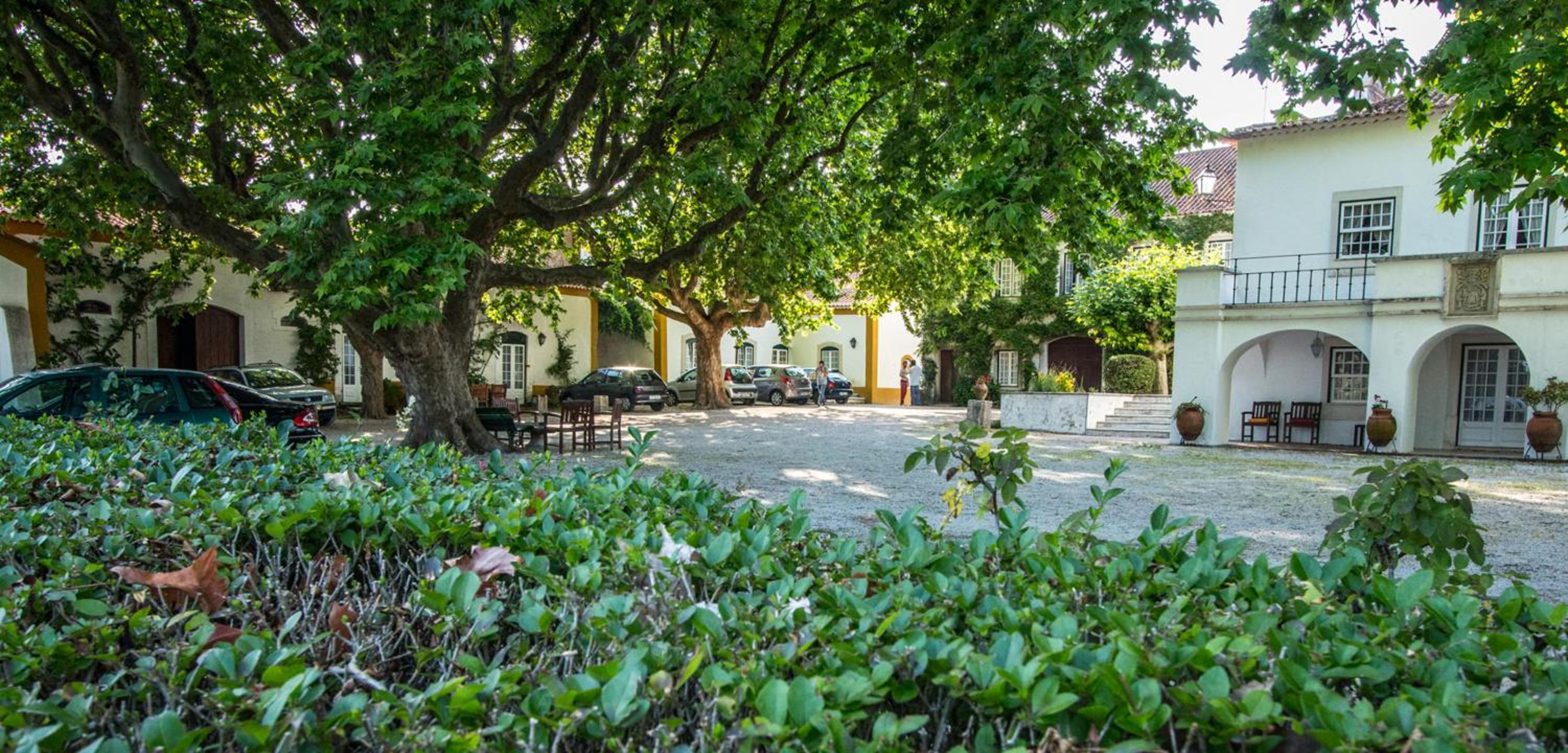 Quinta da Alcaidaria Mor view 2