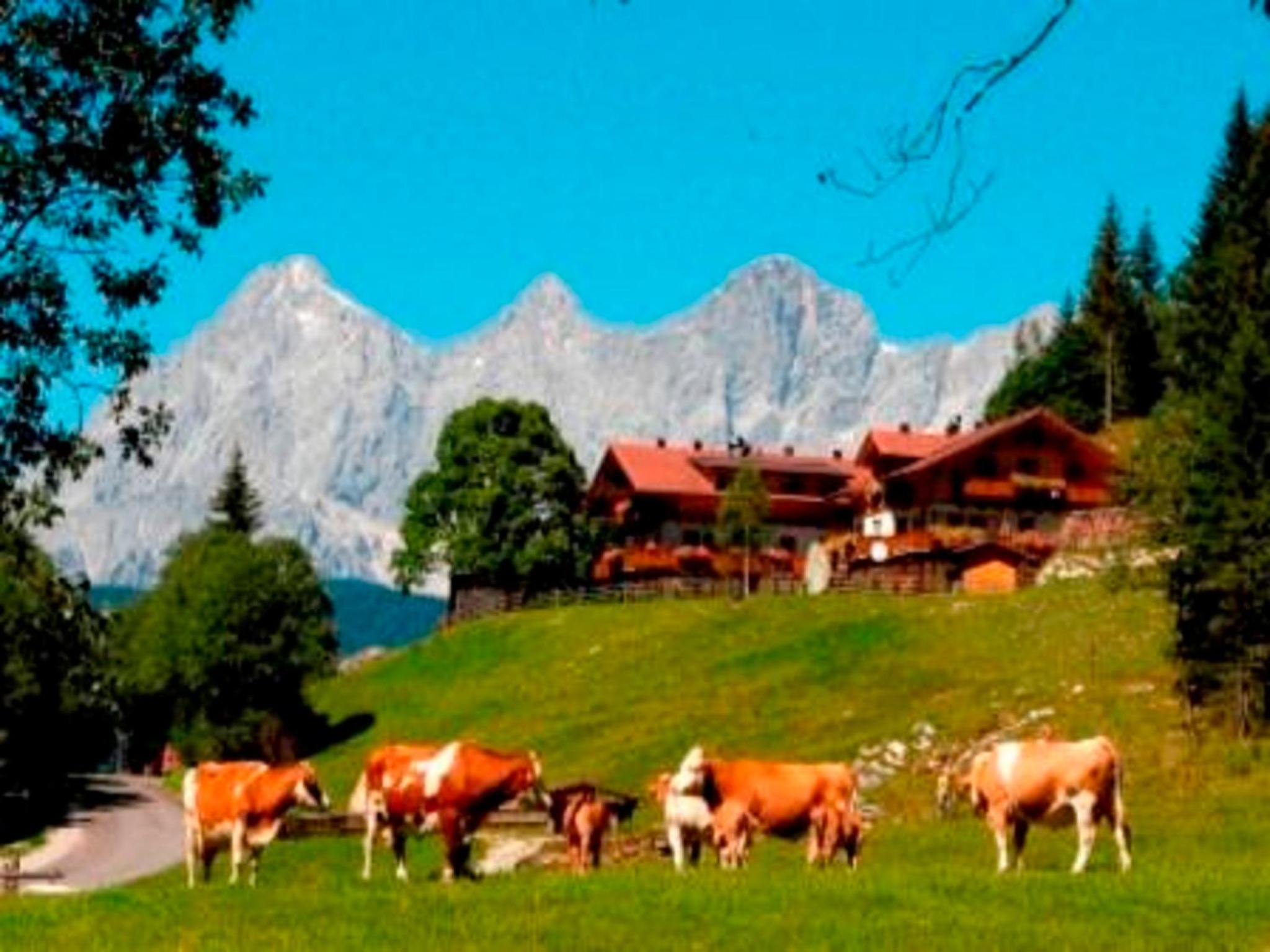 Strickhof
