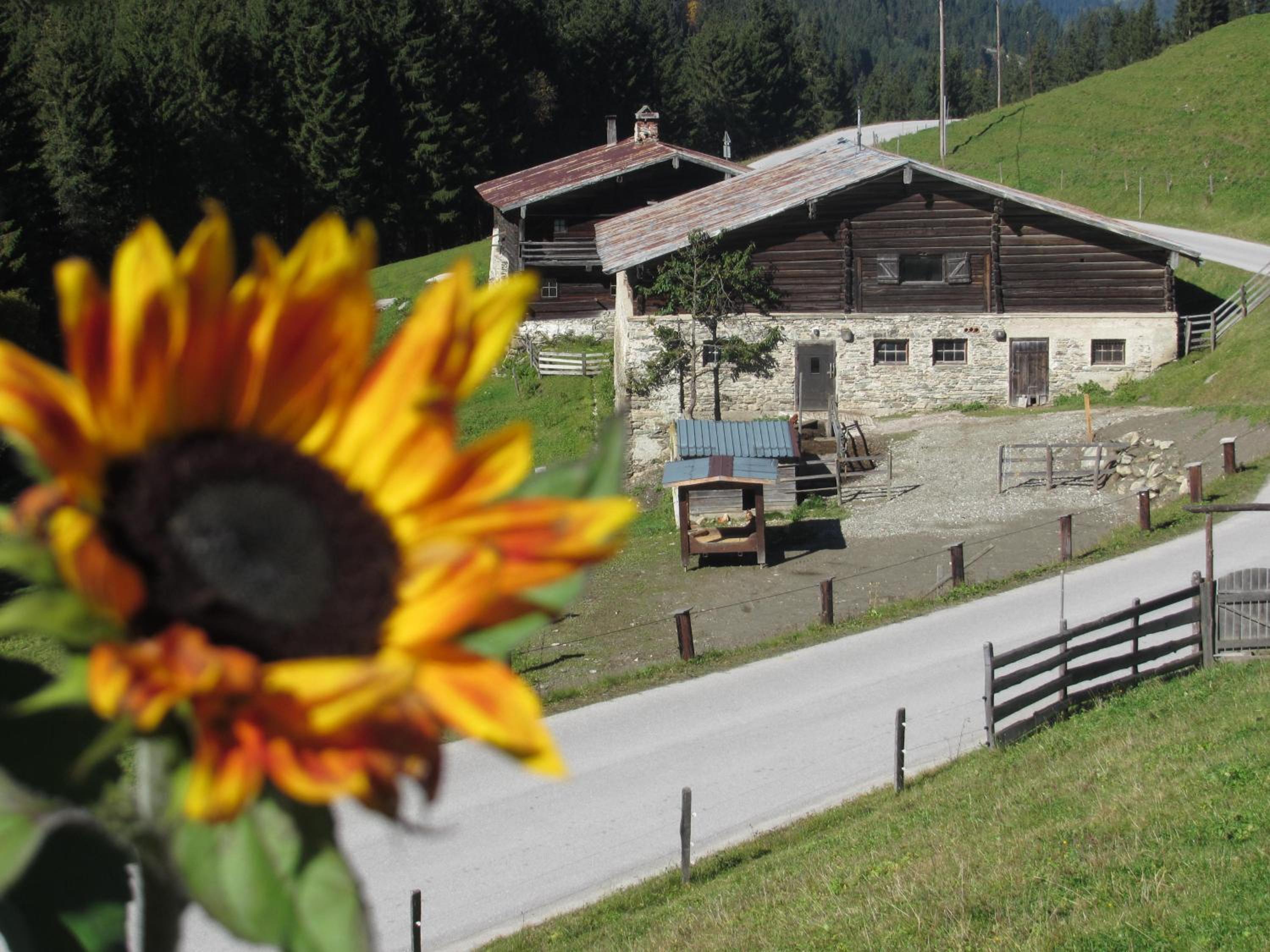 Strickhof