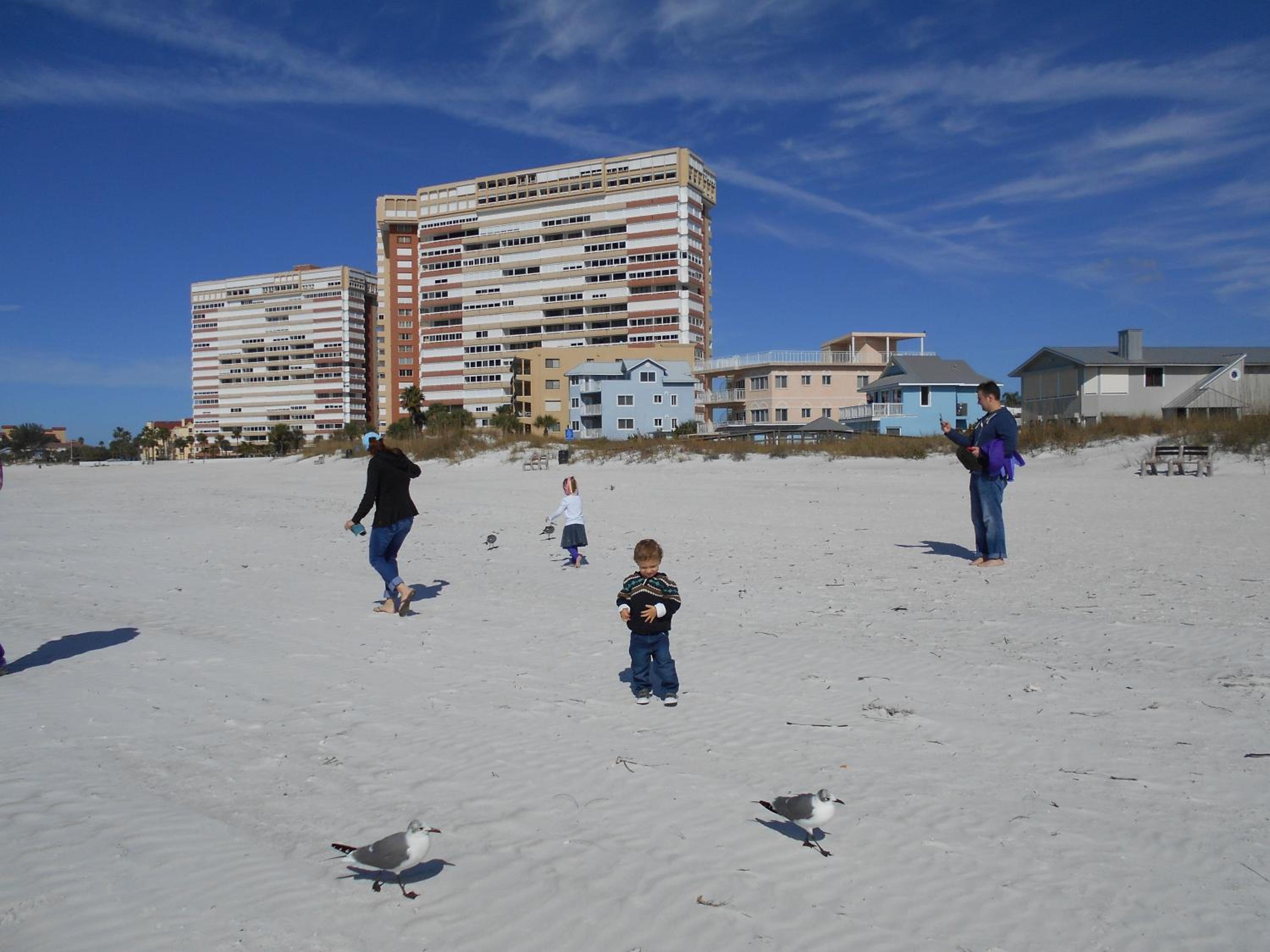 Photo 43