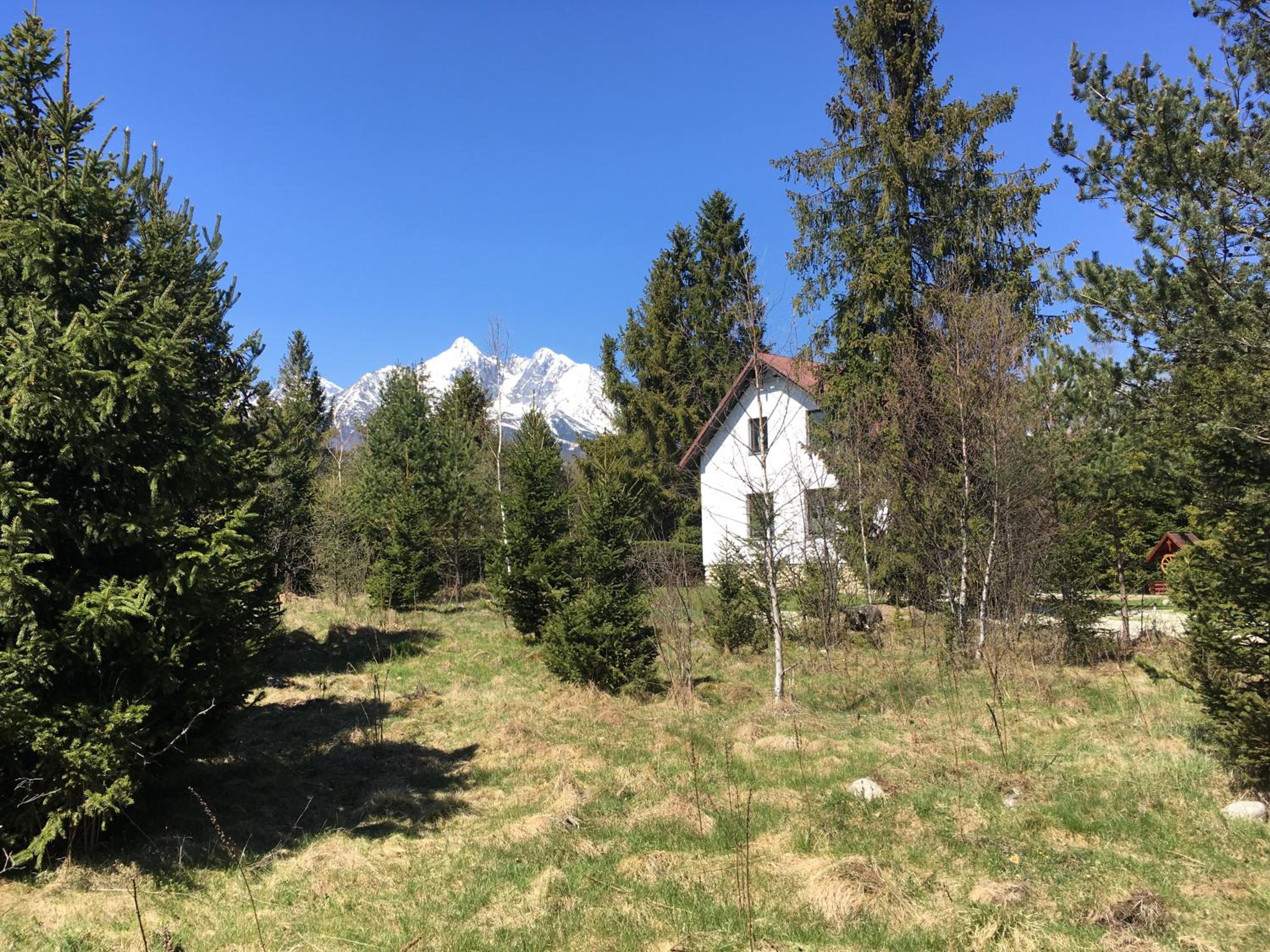 Photo 29