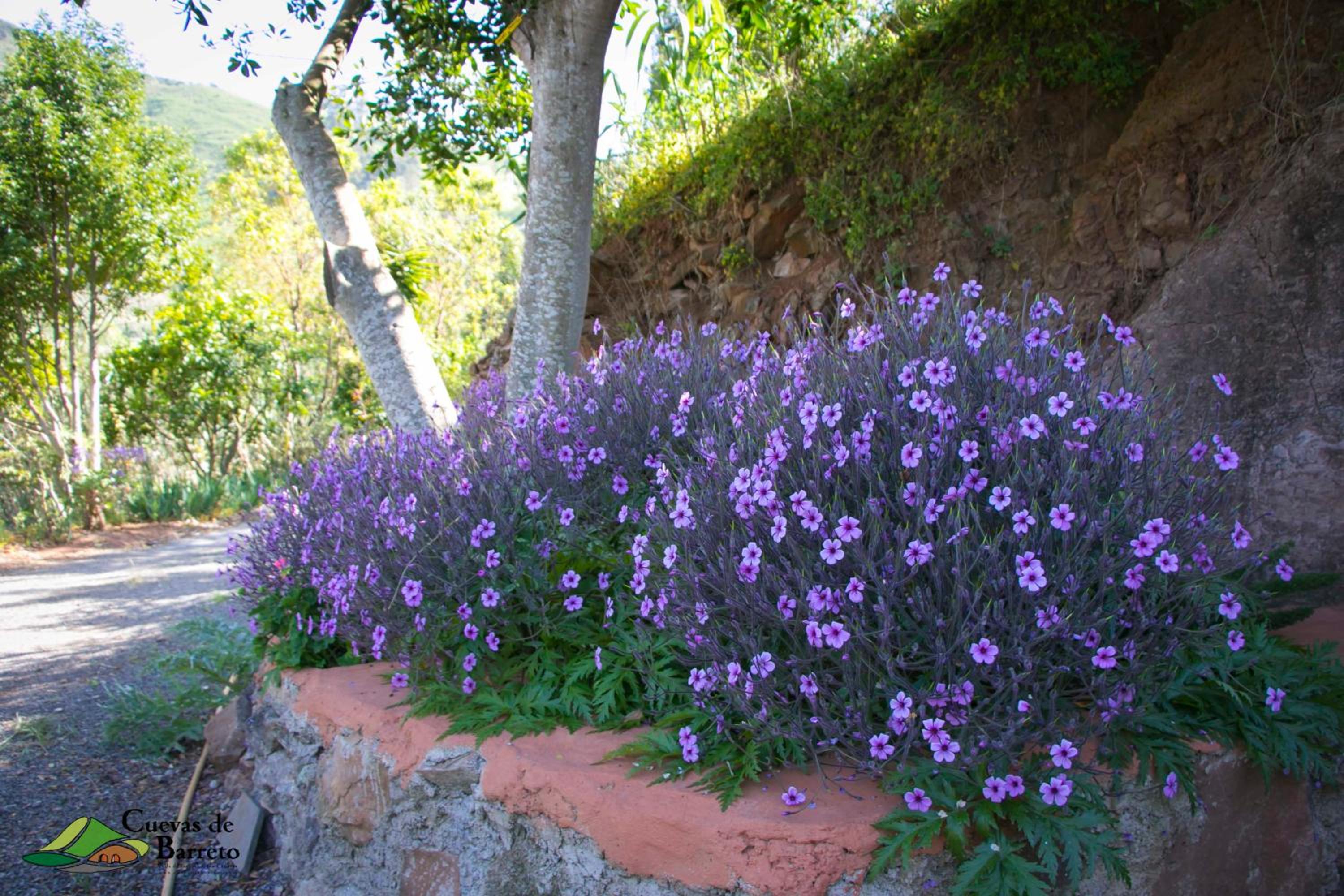 Photo 35