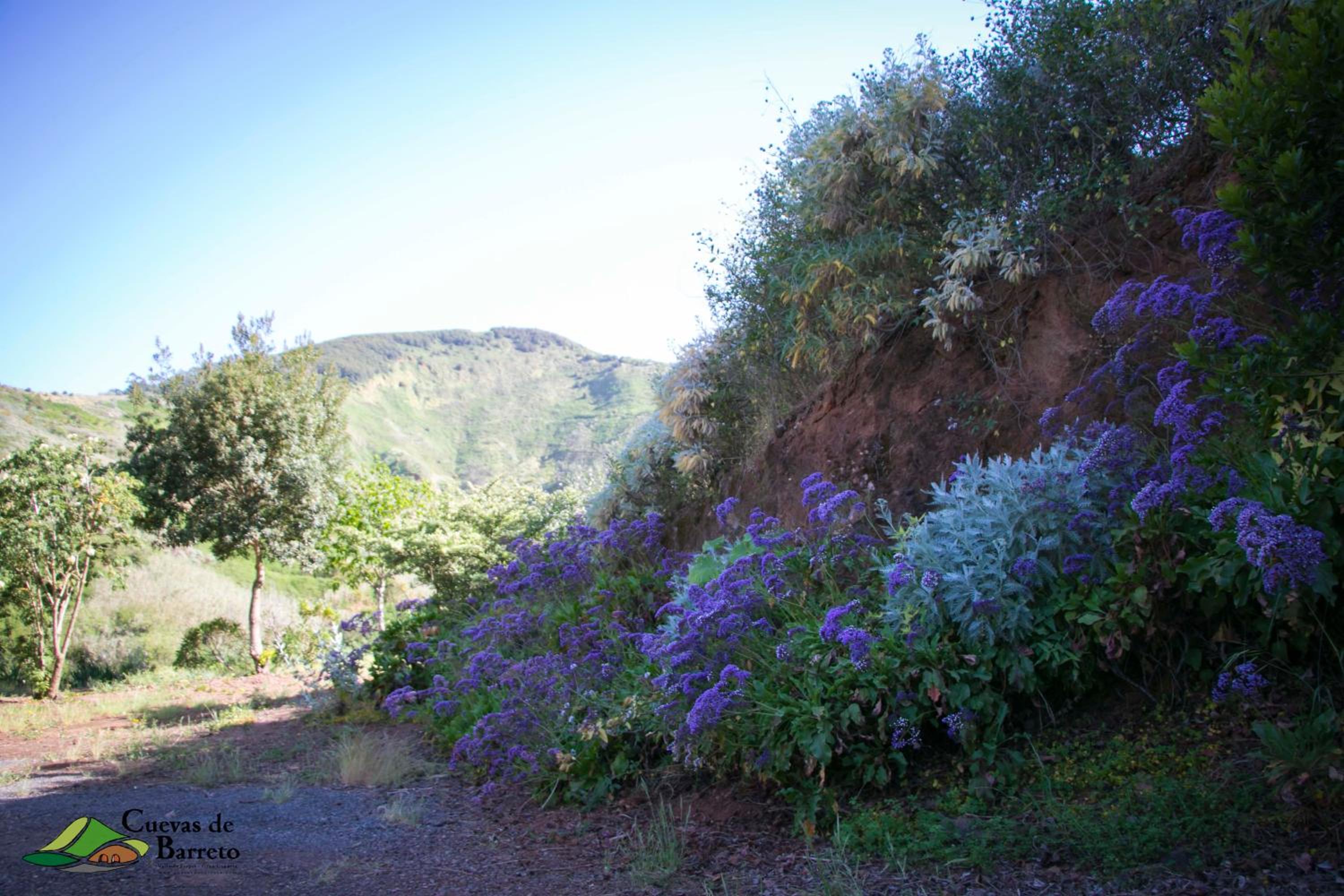 Photo 32