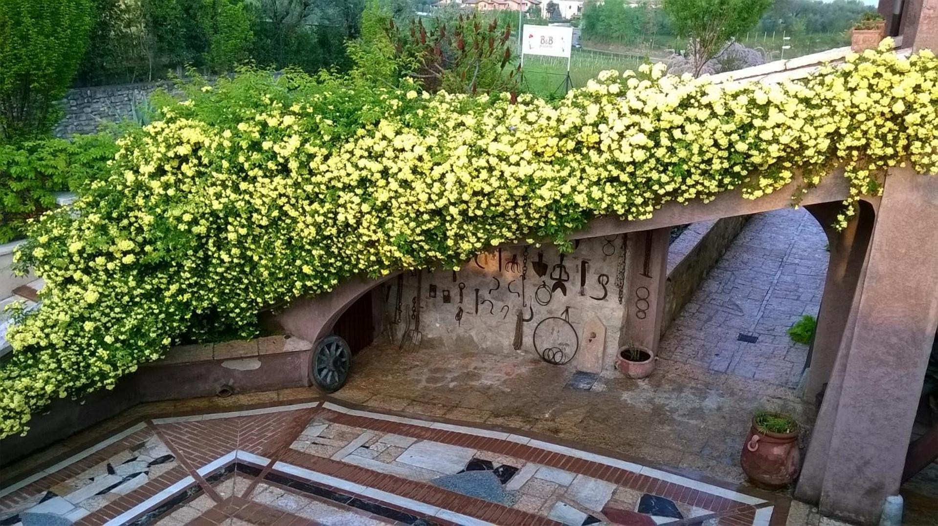 Bed and Breakfast Posserle view 5