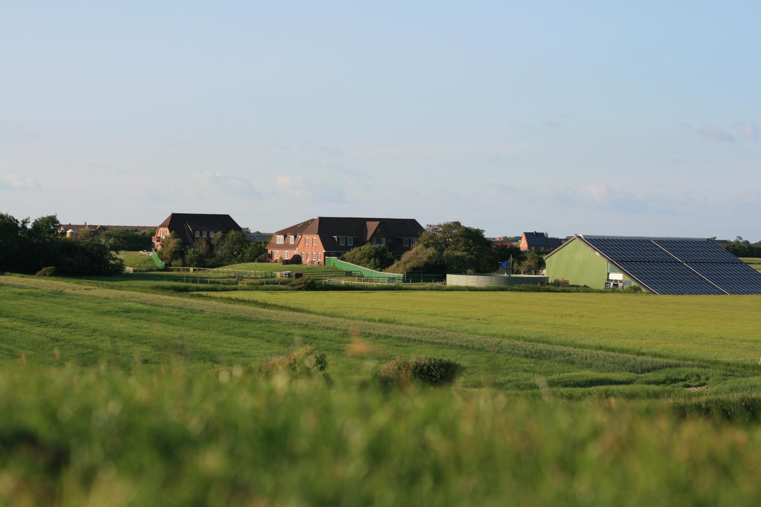 Friesenhof