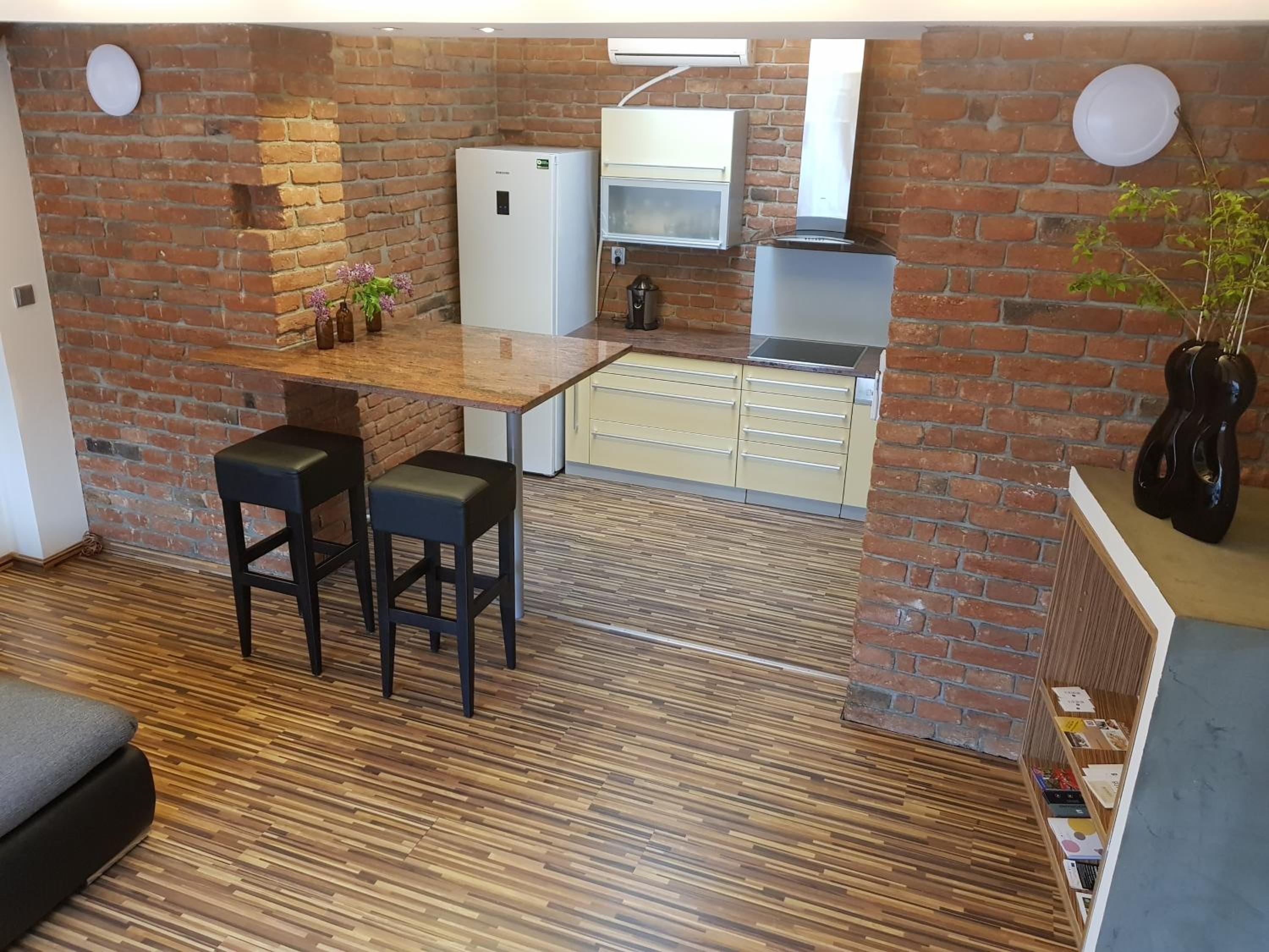 Old Town Apartment Spilberk by goodnite cz